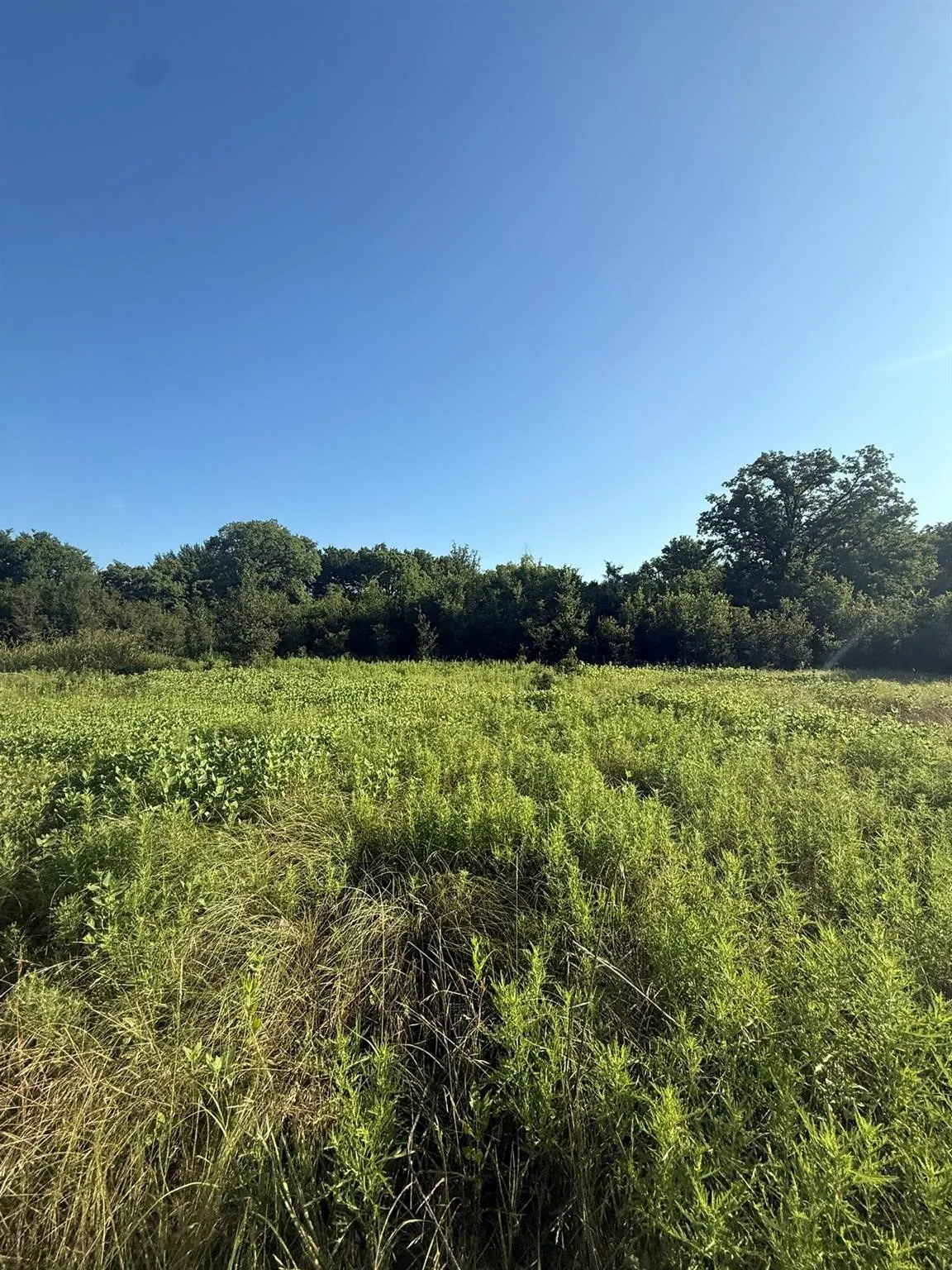 Unimproved Land For Sale in Montague County , 8801 Tx-59, Bowie, Texas 76230, 0, 0, Garage spaces, 0 Sqft, built in 0, Price $282,720, mls#21154343, Real Estate Agent in Bowie, Homes For Sale in Montague county, Homes For Sale in Bowie, Realtor in Bowie Texas, Real Estate Brokerage Independent Realty Texas, Luminita Cordes Realtor