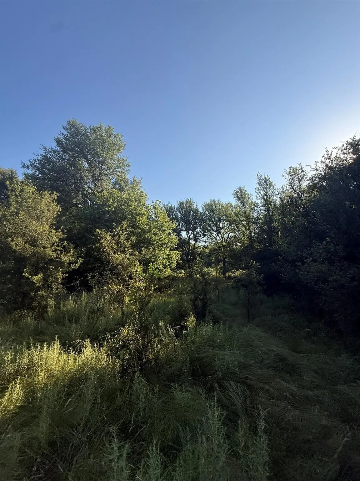 Unimproved Land For Sale in Montague County , 8801 Tx-59, Bowie, Texas 76230, 0, 0, Garage spaces, 0 Sqft, built in 0, Price $282,720, mls#21154343, Real Estate Agent in Bowie, Homes For Sale in Montague county, Homes For Sale in Bowie, Realtor in Bowie Texas, Real Estate Brokerage Independent Realty Texas, Luminita Cordes Realtor