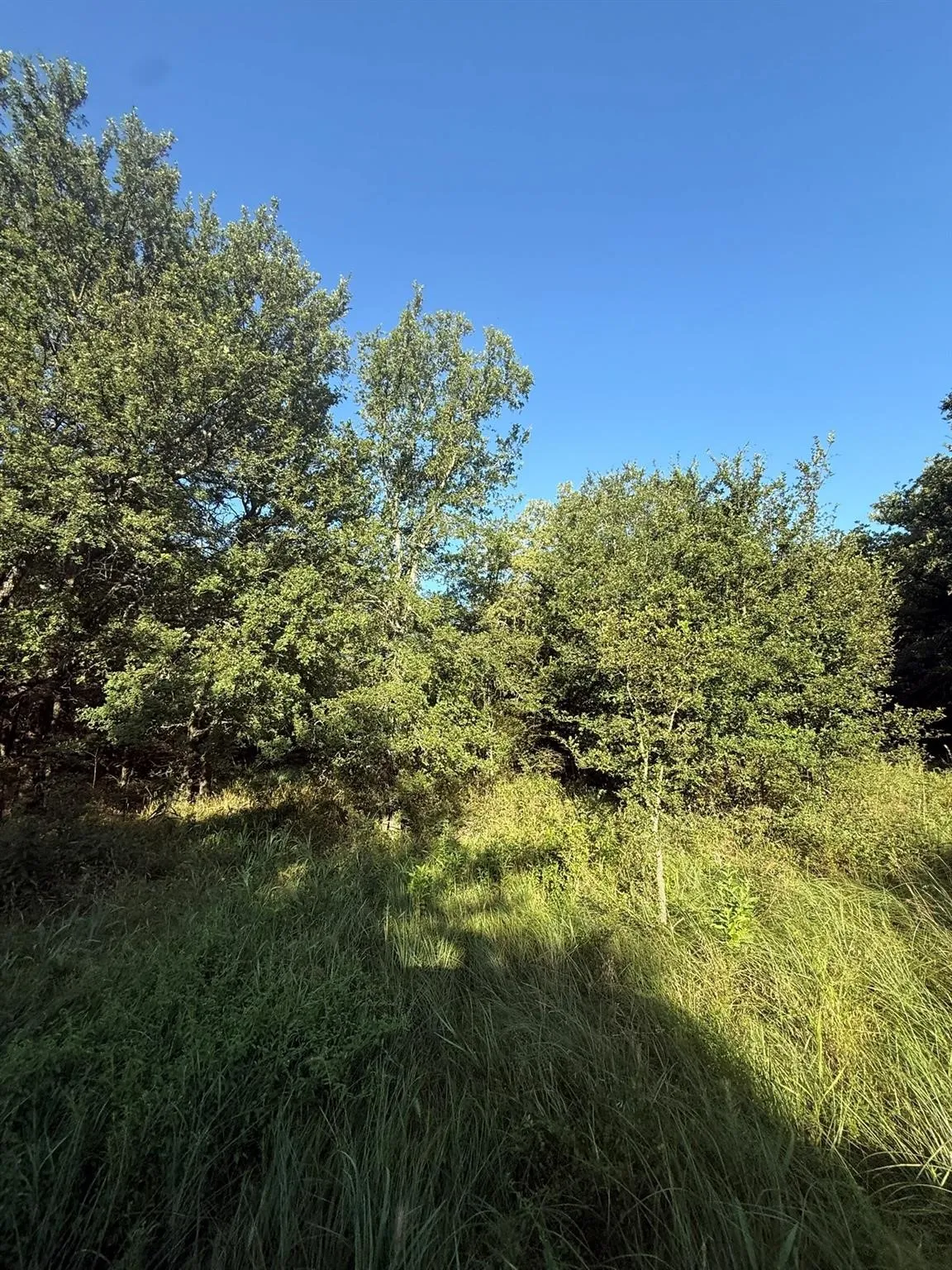 Unimproved Land For Sale in Montague County , 8801 Tx-59, Bowie, Texas 76230, 0, 0, Garage spaces, 0 Sqft, built in 0, Price $282,720, mls#21154343, Real Estate Agent in Bowie, Homes For Sale in Montague county, Homes For Sale in Bowie, Realtor in Bowie Texas, Real Estate Brokerage Independent Realty Texas, Luminita Cordes Realtor