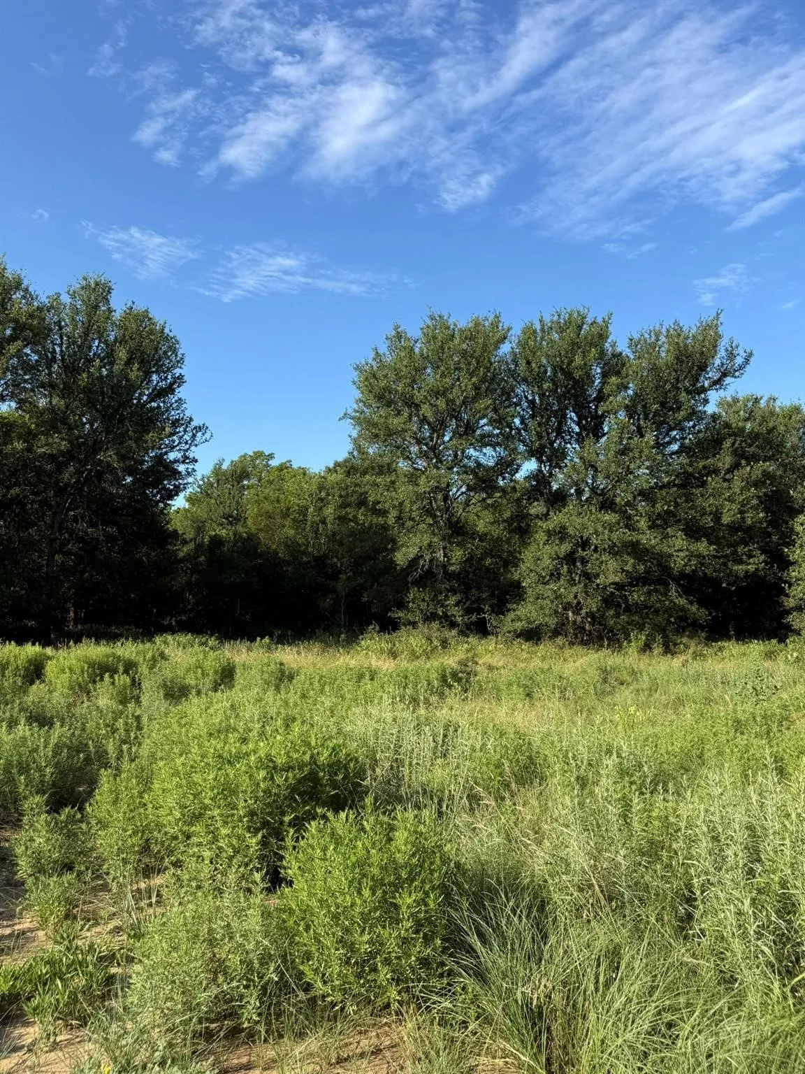 Unimproved Land For Sale in Montague County , 8801 Tx-59, Bowie, Texas 76230, 0, 0, Garage spaces, 0 Sqft, built in 0, Price $282,720, mls#21154343, Real Estate Agent in Bowie, Homes For Sale in Montague county, Homes For Sale in Bowie, Realtor in Bowie Texas, Real Estate Brokerage Independent Realty Texas, Luminita Cordes Realtor