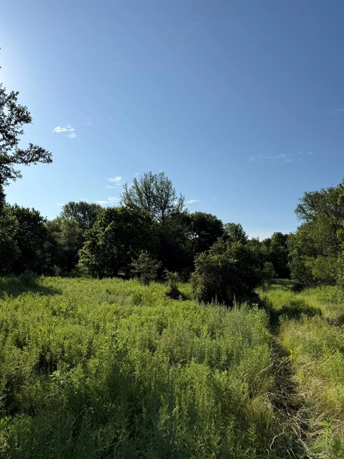 Unimproved Land For Sale in Montague County , 8801 Tx-59, Bowie, Texas 76230, 0, 0, Garage spaces, 0 Sqft, built in 0, Price $282,720, mls#21154343, Real Estate Agent in Bowie, Homes For Sale in Montague county, Homes For Sale in Bowie, Realtor in Bowie Texas, Real Estate Brokerage Independent Realty Texas, Luminita Cordes Realtor