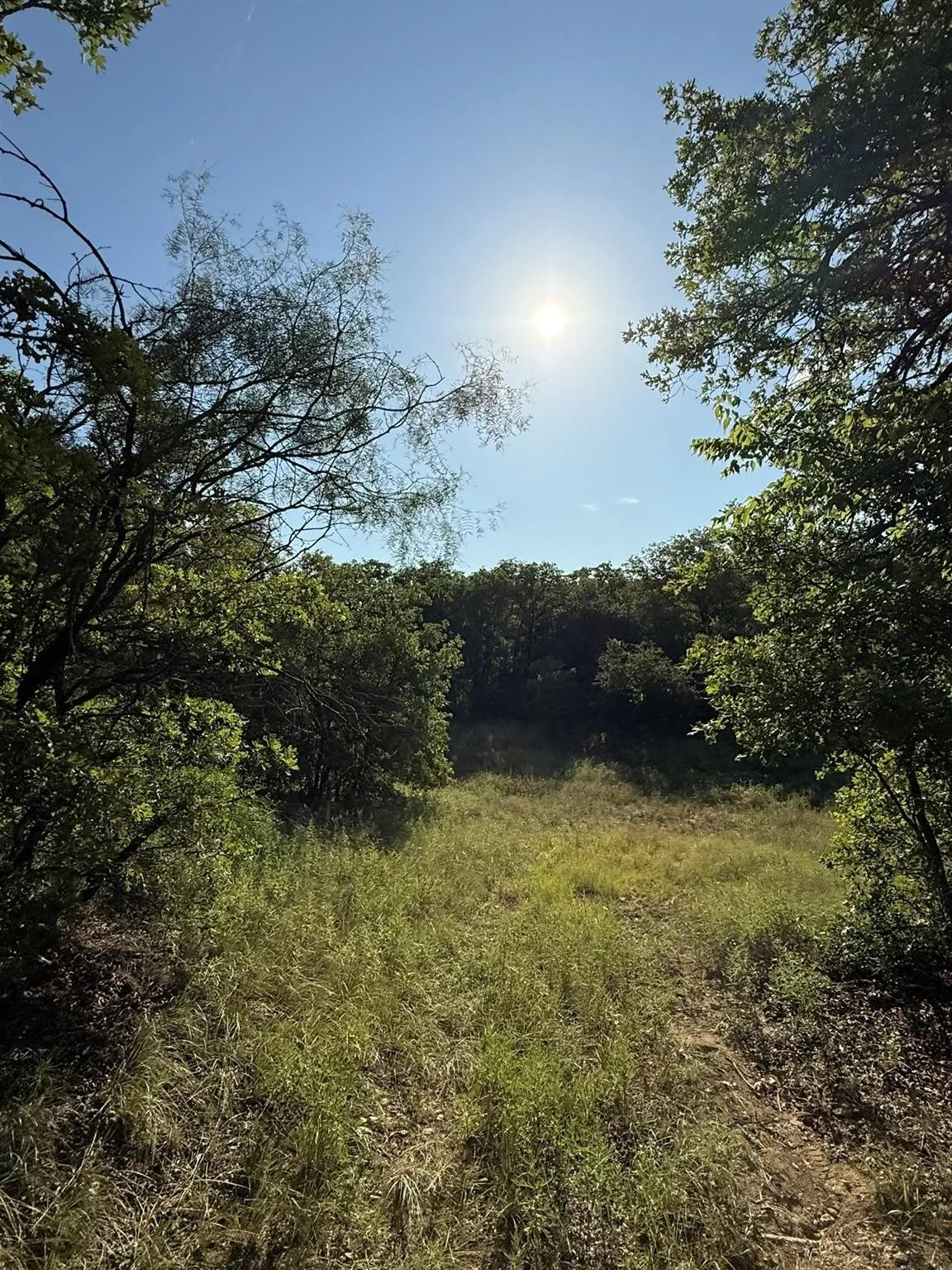 Unimproved Land For Sale in Montague County , 8801 Tx-59, Bowie, Texas 76230, 0, 0, Garage spaces, 0 Sqft, built in 0, Price $282,720, mls#21154343, Real Estate Agent in Bowie, Homes For Sale in Montague county, Homes For Sale in Bowie, Realtor in Bowie Texas, Real Estate Brokerage Independent Realty Texas, Luminita Cordes Realtor