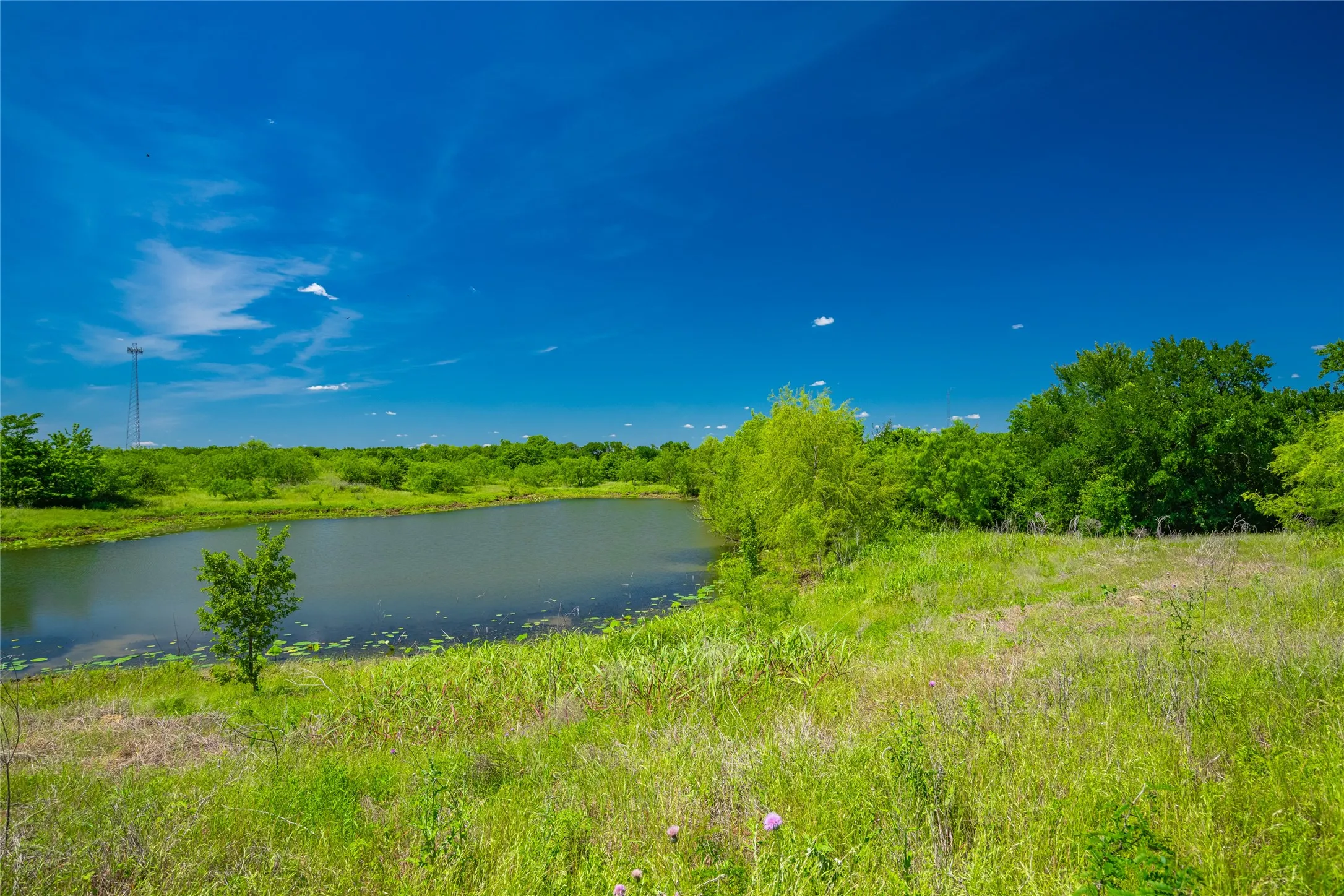 Unimproved Land For Sale in Limestone County , 0 Highway 14, Groesbeck, Texas 76642, 0, 0, Garage spaces, 0 Sqft, built in 0, Price $1,341,000, mls#21169877, Real Estate Agent in Groesbeck, Homes For Sale in Limestone county, Homes For Sale in Groesbeck, Realtor in Groesbeck Texas, Real Estate Brokerage Independent Realty Texas, Luminita Cordes Realtor