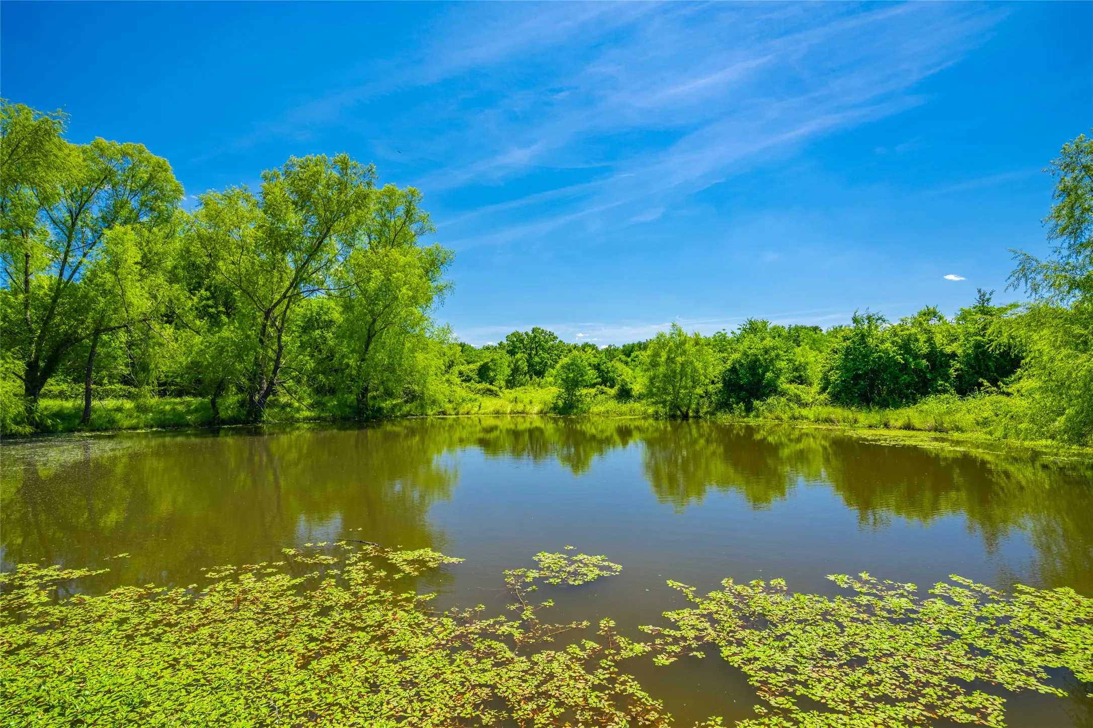 Unimproved Land For Sale in Limestone County , 0 Highway 14, Groesbeck, Texas 76642, 0, 0, Garage spaces, 0 Sqft, built in 0, Price $1,341,000, mls#21169877, Real Estate Agent in Groesbeck, Homes For Sale in Limestone county, Homes For Sale in Groesbeck, Realtor in Groesbeck Texas, Real Estate Brokerage Independent Realty Texas, Luminita Cordes Realtor