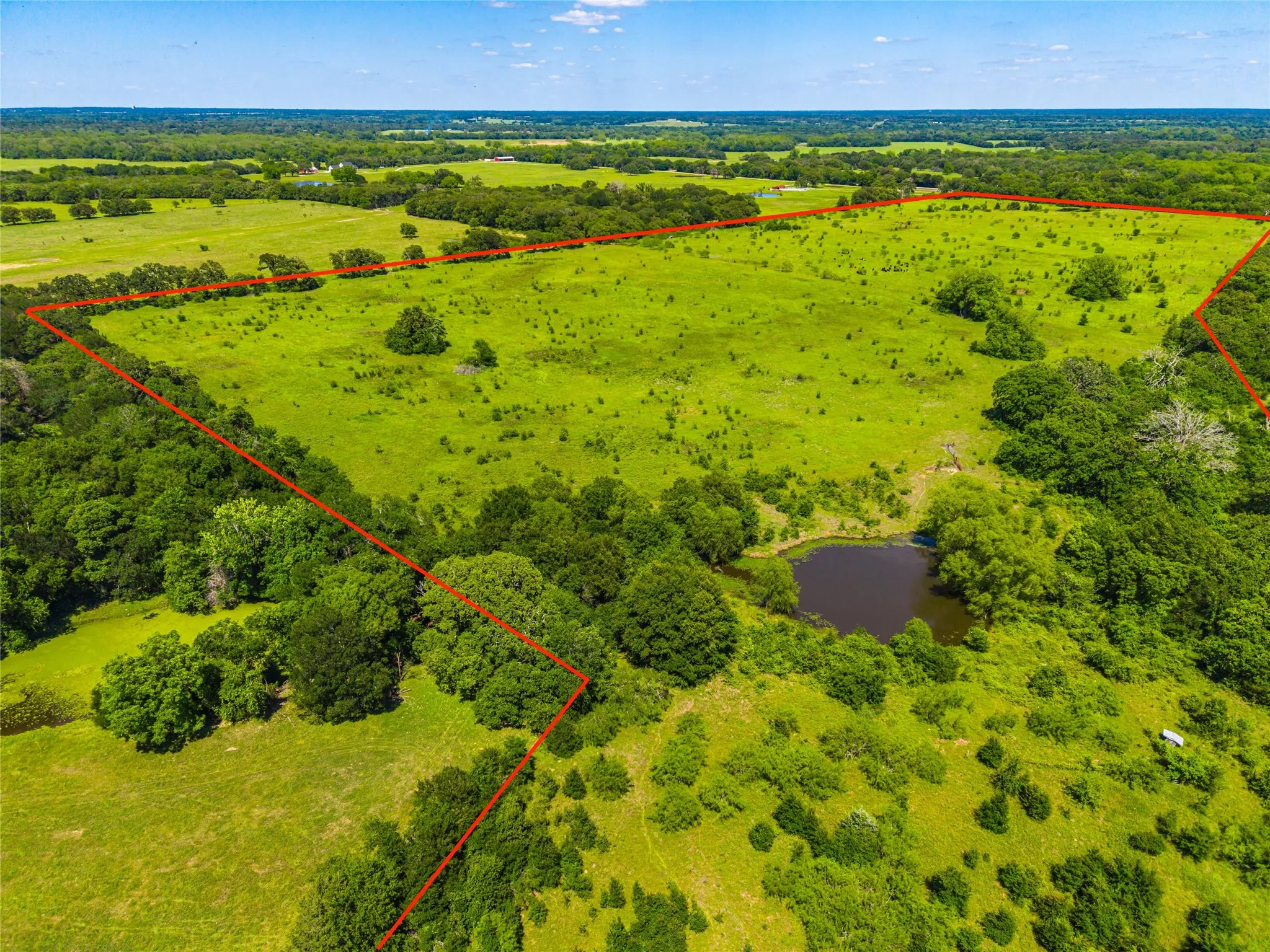 Unimproved Land For Sale in Limestone County , 0 Highway 14, Groesbeck, Texas 76642, 0, 0, Garage spaces, 0 Sqft, built in 0, Price $1,341,000, mls#21169877, Real Estate Agent in Groesbeck, Homes For Sale in Limestone county, Homes For Sale in Groesbeck, Realtor in Groesbeck Texas, Real Estate Brokerage Independent Realty Texas, Luminita Cordes Realtor