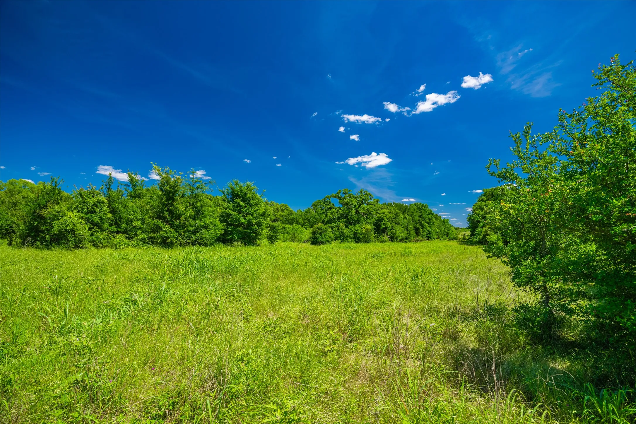 Unimproved Land For Sale in Limestone County , 0 Highway 14, Groesbeck, Texas 76642, 0, 0, Garage spaces, 0 Sqft, built in 0, Price $1,341,000, mls#21169877, Real Estate Agent in Groesbeck, Homes For Sale in Limestone county, Homes For Sale in Groesbeck, Realtor in Groesbeck Texas, Real Estate Brokerage Independent Realty Texas, Luminita Cordes Realtor