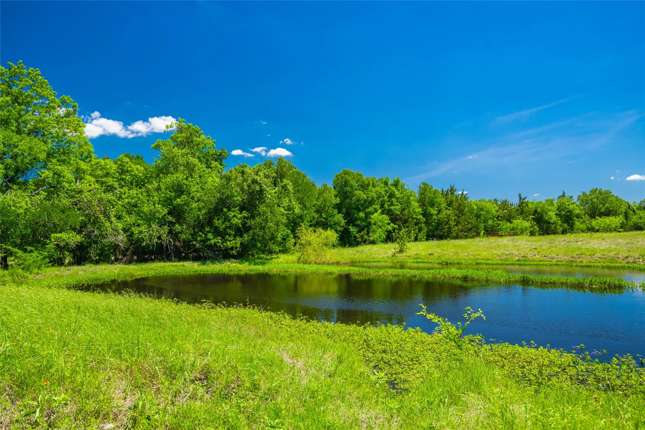 Unimproved Land For Sale in Limestone County , 0 Highway 14, Groesbeck, Texas 76642, 0, 0, Garage spaces, 0 Sqft, built in 0, Price $1,341,000, mls#21169877, Real Estate Agent in Groesbeck, Homes For Sale in Limestone county, Homes For Sale in Groesbeck, Realtor in Groesbeck Texas, Real Estate Brokerage Independent Realty Texas, Luminita Cordes Realtor