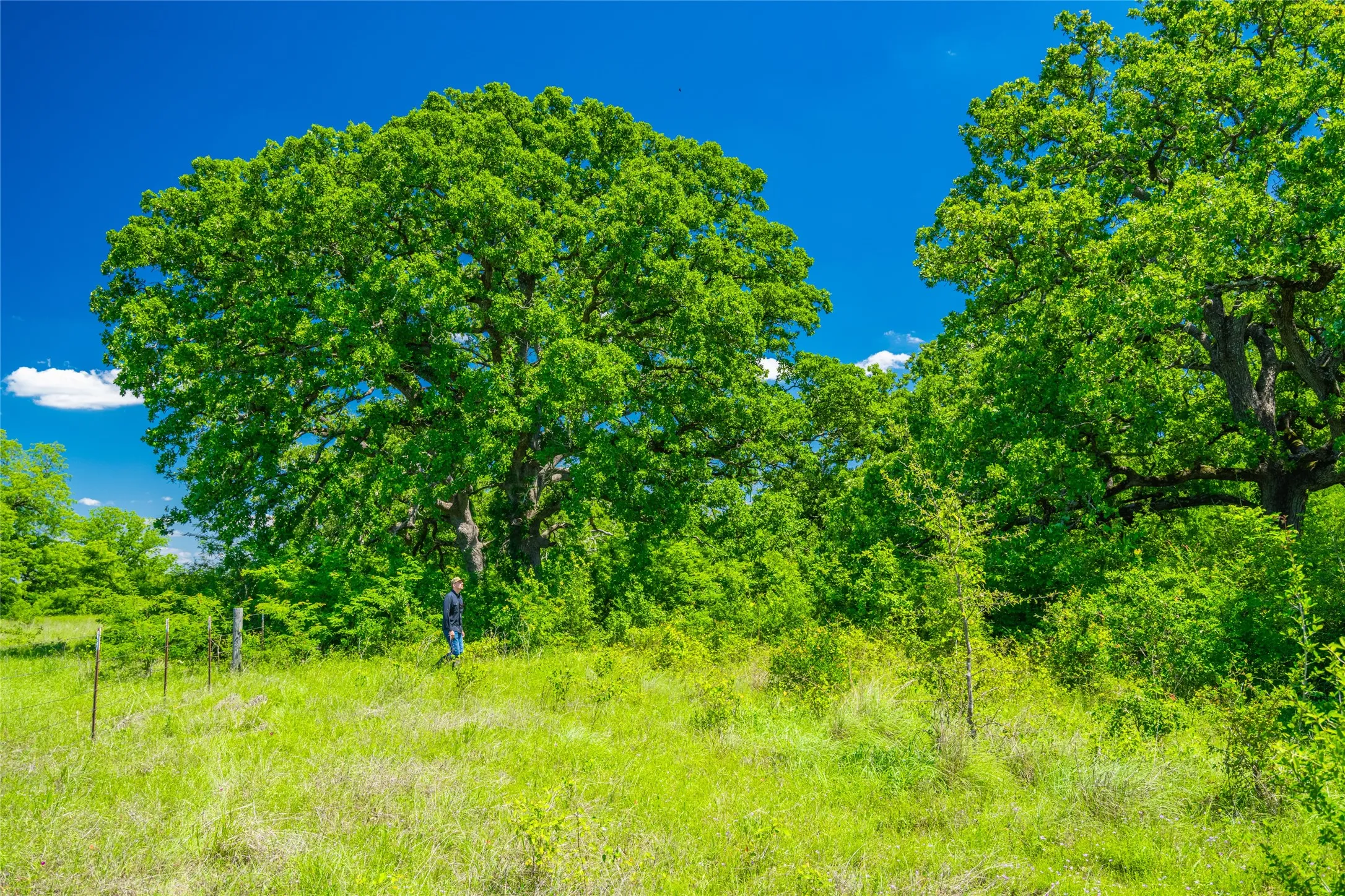 Unimproved Land For Sale in Limestone County , 0 Highway 14, Groesbeck, Texas 76642, 0, 0, Garage spaces, 0 Sqft, built in 0, Price $1,341,000, mls#21169877, Real Estate Agent in Groesbeck, Homes For Sale in Limestone county, Homes For Sale in Groesbeck, Realtor in Groesbeck Texas, Real Estate Brokerage Independent Realty Texas, Luminita Cordes Realtor