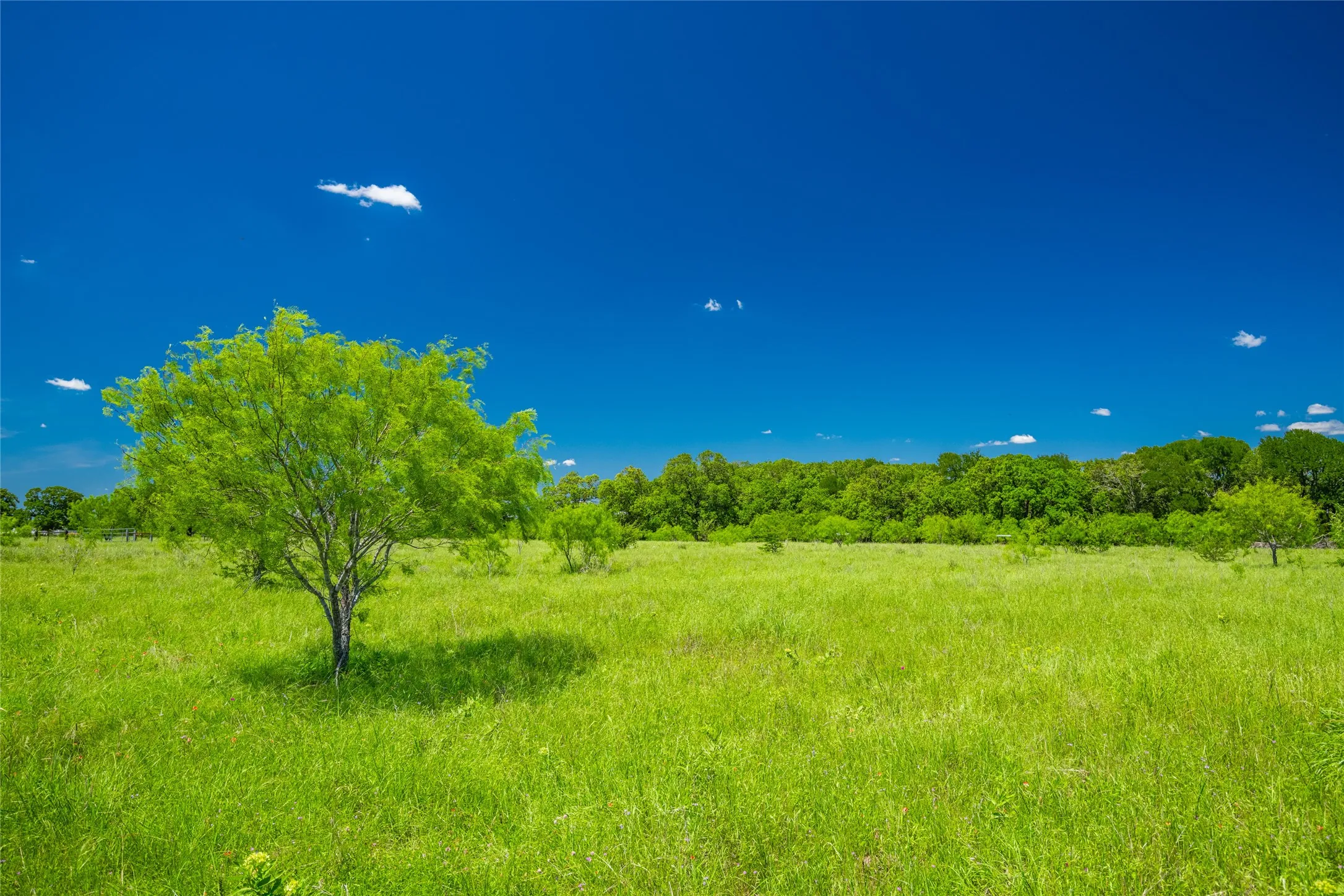Unimproved Land For Sale in Limestone County , 0 Highway 14, Groesbeck, Texas 76642, 0, 0, Garage spaces, 0 Sqft, built in 0, Price $1,341,000, mls#21169877, Real Estate Agent in Groesbeck, Homes For Sale in Limestone county, Homes For Sale in Groesbeck, Realtor in Groesbeck Texas, Real Estate Brokerage Independent Realty Texas, Luminita Cordes Realtor