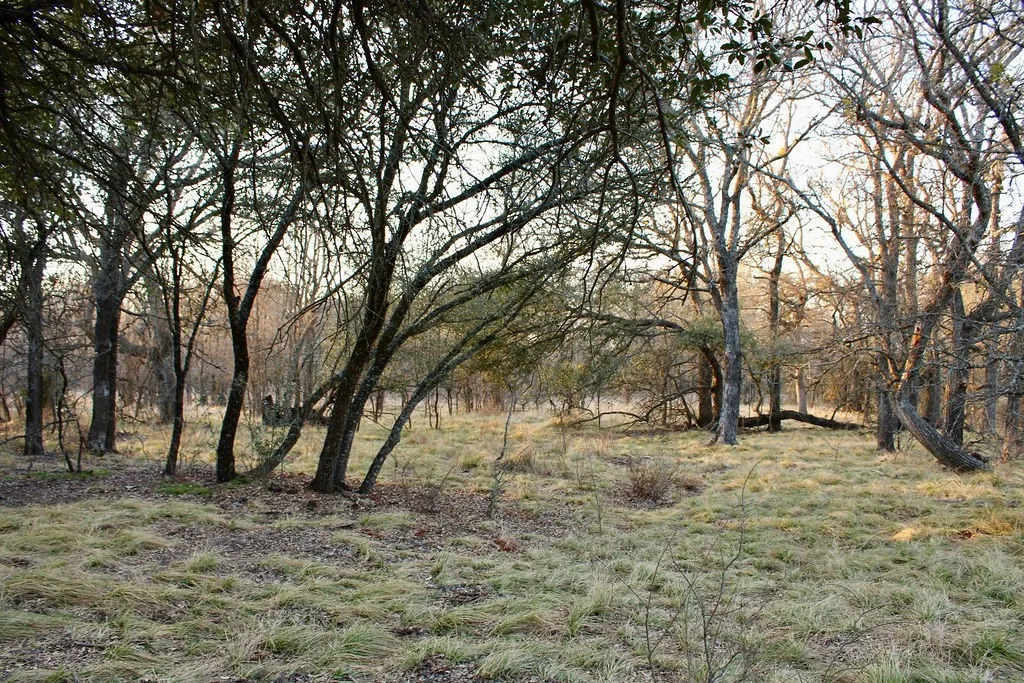 View of nature