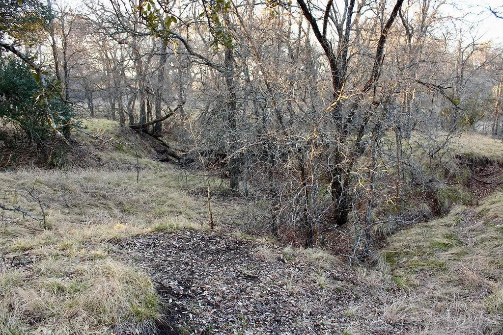 View of nature