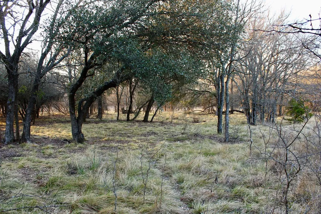View of undeveloped land featuring rural landscape