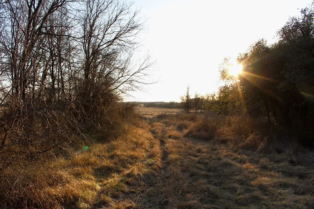 View of nature featuring rural landscape