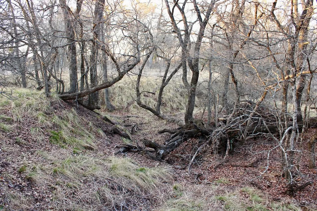View of undeveloped land