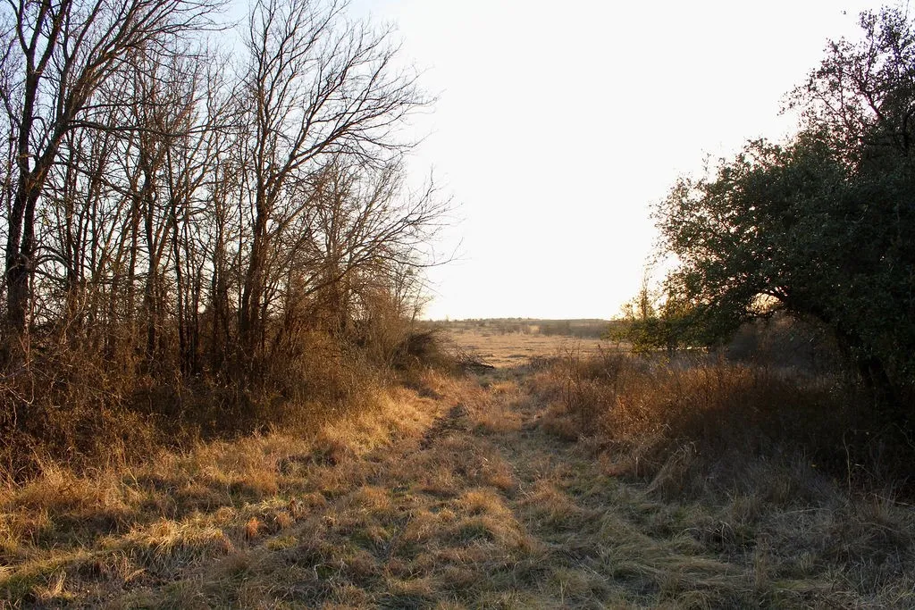 View of local wilderness featuring rural landscape