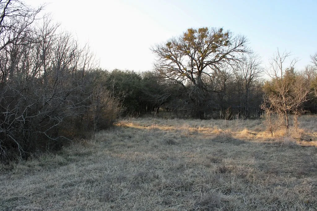 View of nature