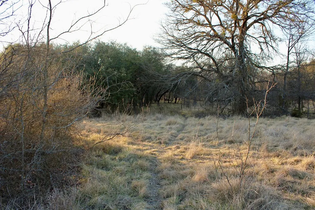 View of undeveloped land