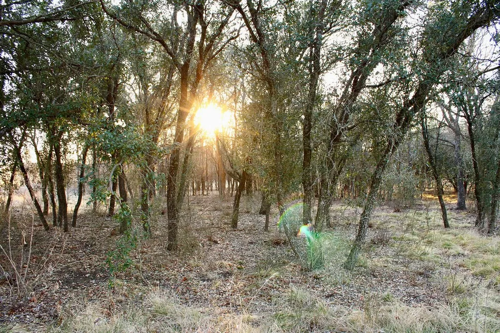 View of undeveloped land