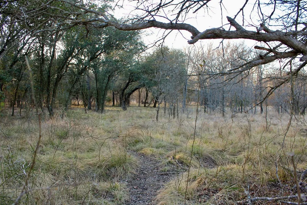 View of undeveloped land
