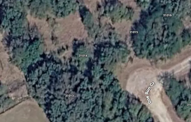 Google view