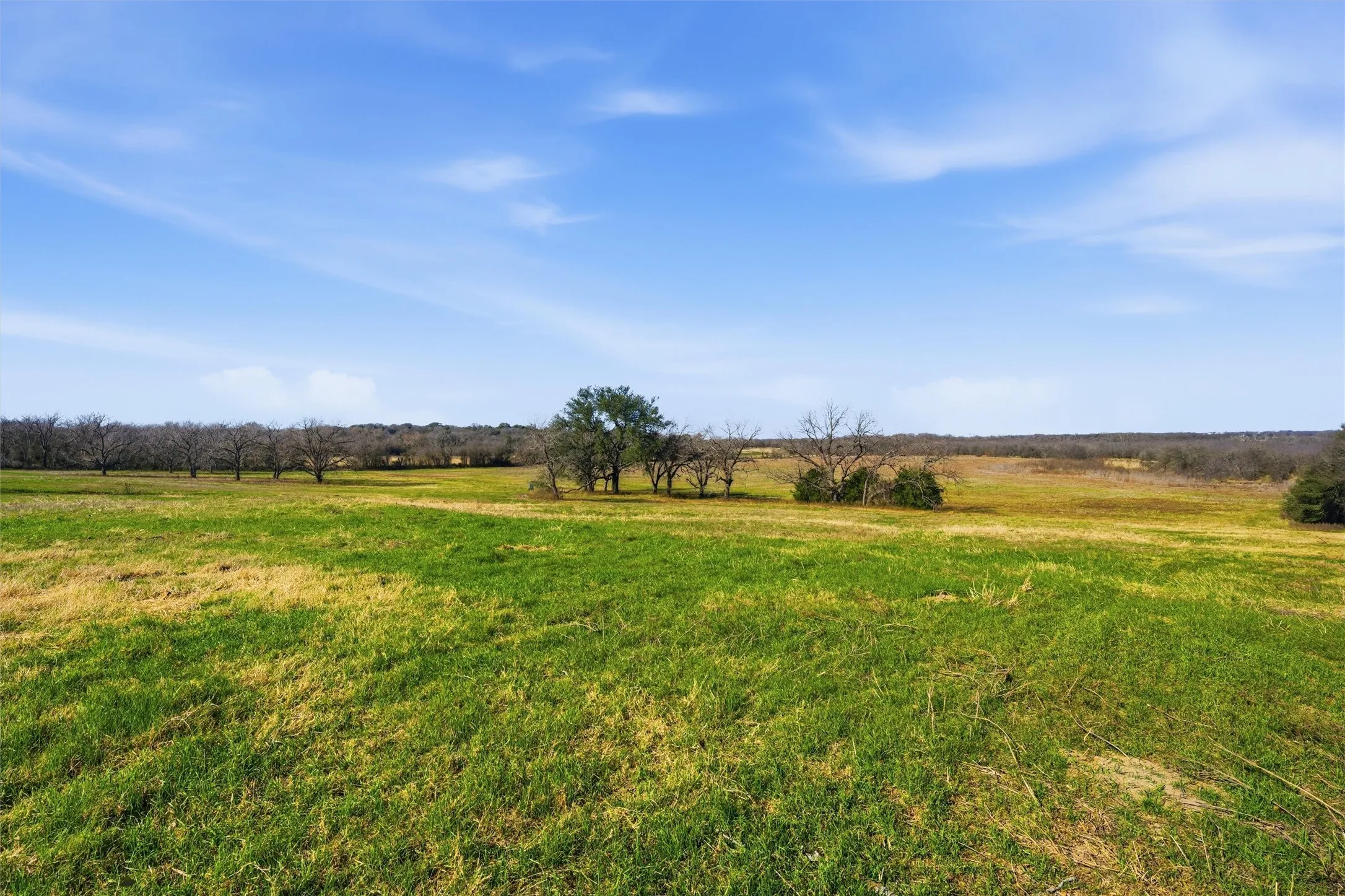Improved Land For Sale in Falls County , 2375 FM 935, Chilton, Texas 76632, 0, 0, Garage spaces, 0 Sqft, built in 0, mls#21164803, Real Estate Agent in Chilton, Homes For Sale in Falls county, Homes For Sale in Chilton, Realtor in Chilton Texas, Real Estate Brokerage Independent Realty Texas, Luminita Cordes Realtor