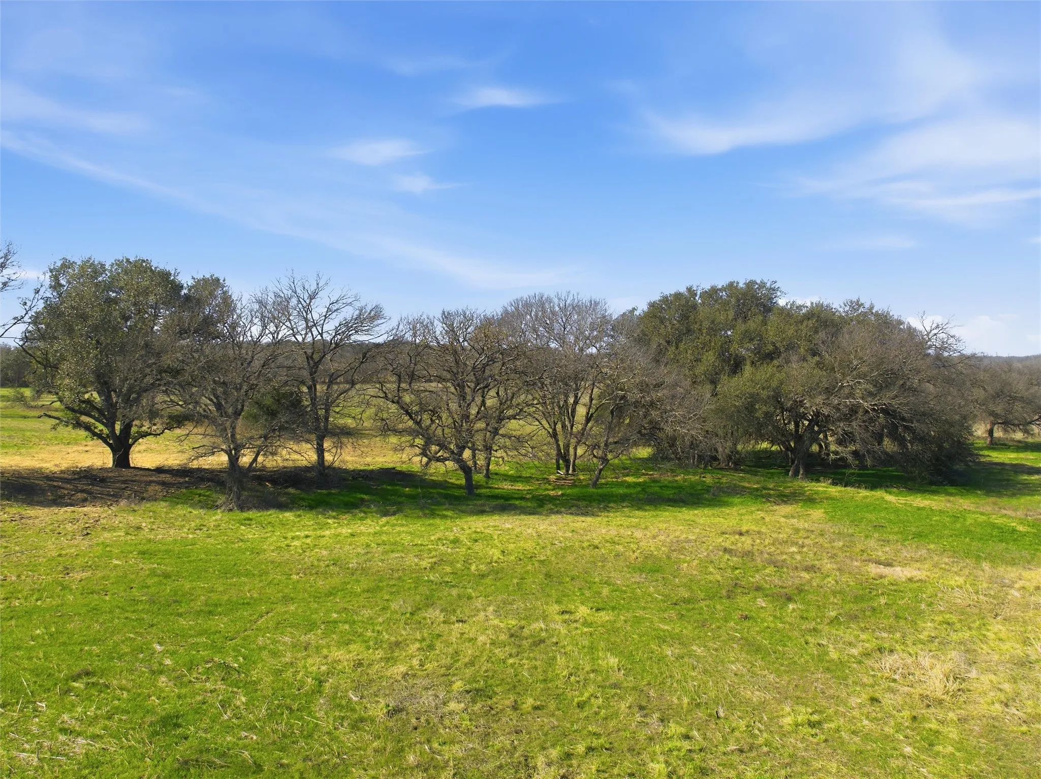 Improved Land For Sale in Falls County , 2375 FM 935, Chilton, Texas 76632, 0, 0, Garage spaces, 0 Sqft, built in 0, mls#21164803, Real Estate Agent in Chilton, Homes For Sale in Falls county, Homes For Sale in Chilton, Realtor in Chilton Texas, Real Estate Brokerage Independent Realty Texas, Luminita Cordes Realtor