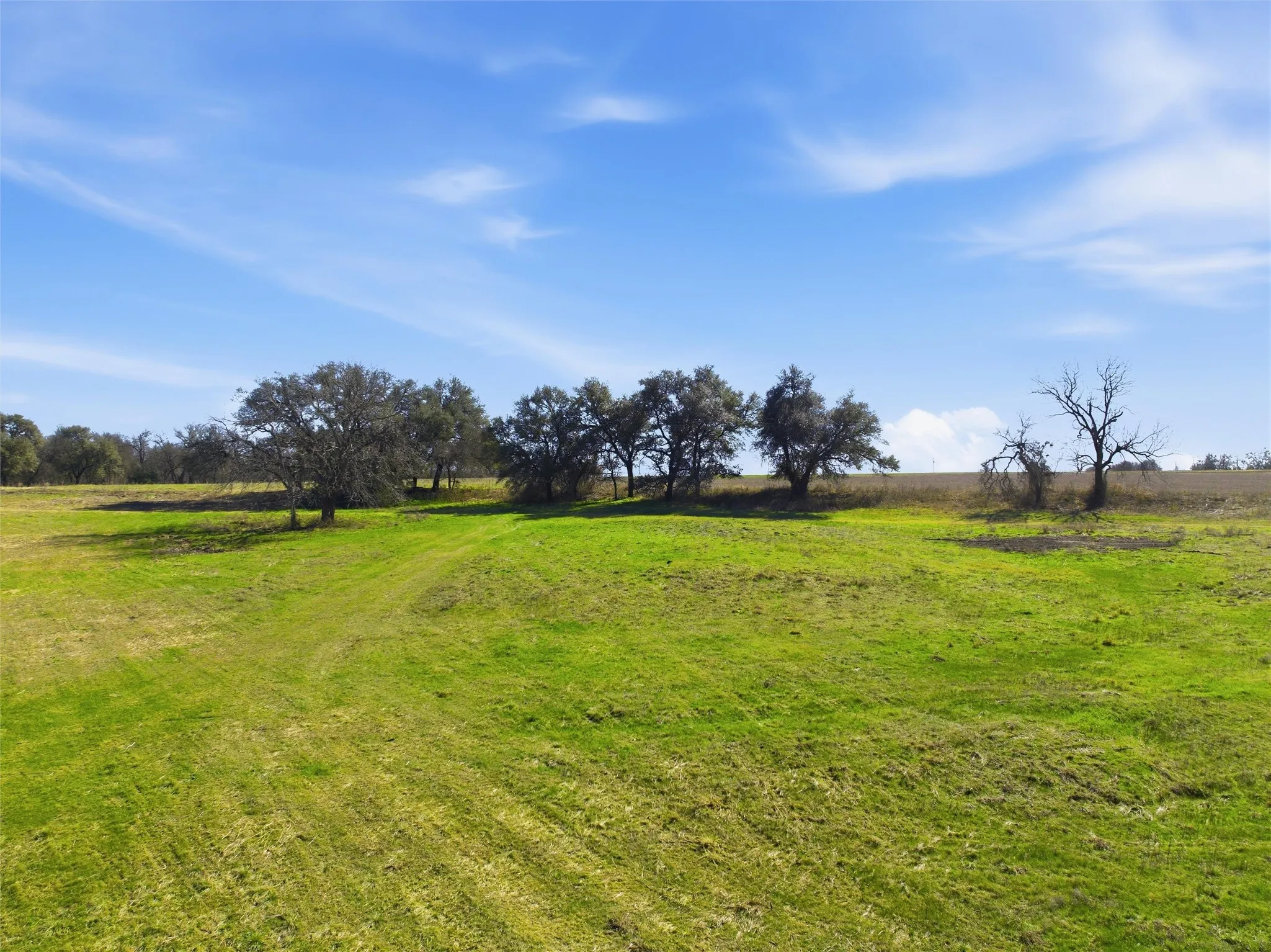 Improved Land For Sale in Falls County , 2375 FM 935, Chilton, Texas 76632, 0, 0, Garage spaces, 0 Sqft, built in 0, mls#21164803, Real Estate Agent in Chilton, Homes For Sale in Falls county, Homes For Sale in Chilton, Realtor in Chilton Texas, Real Estate Brokerage Independent Realty Texas, Luminita Cordes Realtor