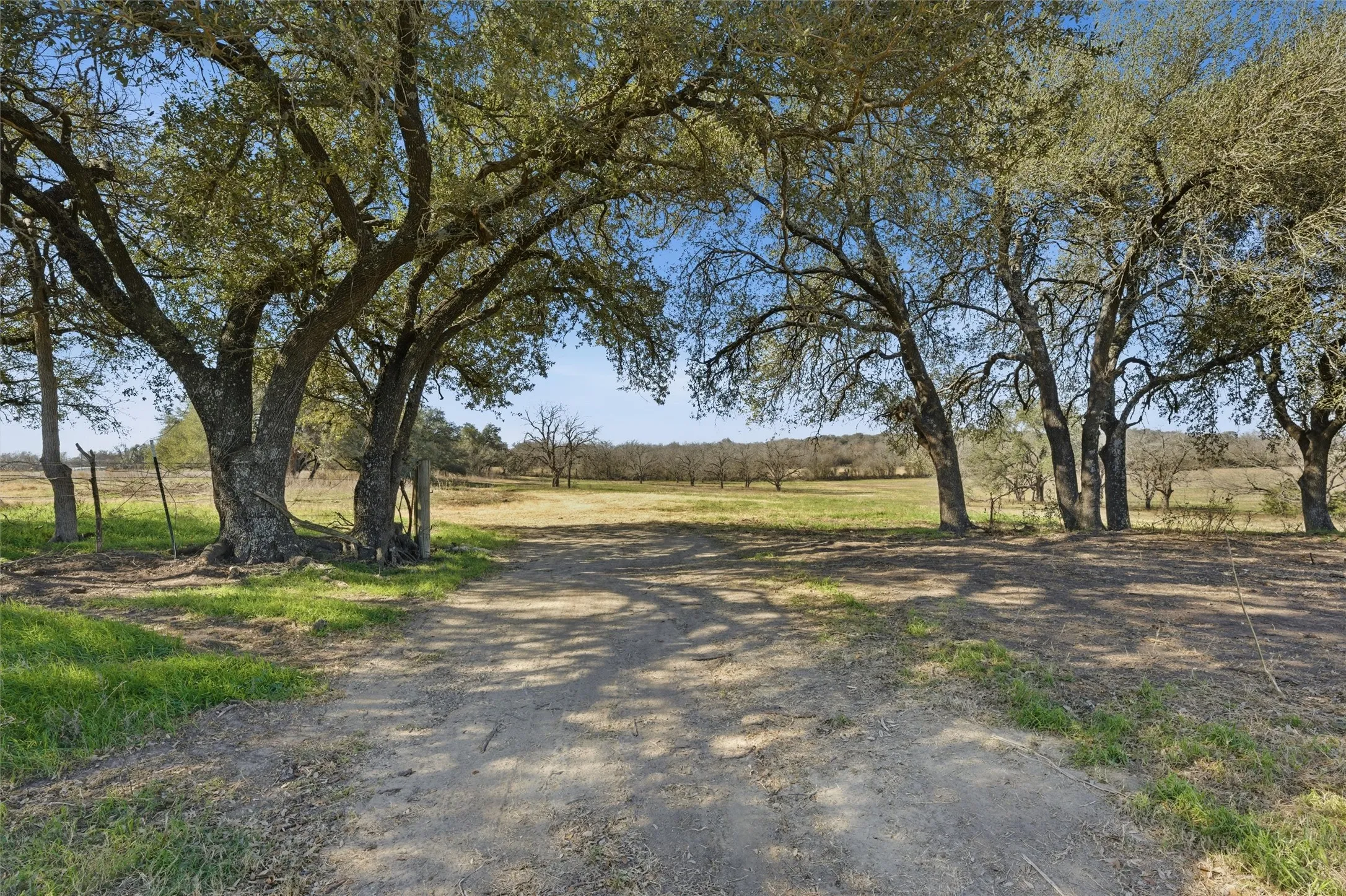 Improved Land For Sale in Falls County , 2375 FM 935, Chilton, Texas 76632, 0, 0, Garage spaces, 0 Sqft, built in 0, mls#21164803, Real Estate Agent in Chilton, Homes For Sale in Falls county, Homes For Sale in Chilton, Realtor in Chilton Texas, Real Estate Brokerage Independent Realty Texas, Luminita Cordes Realtor