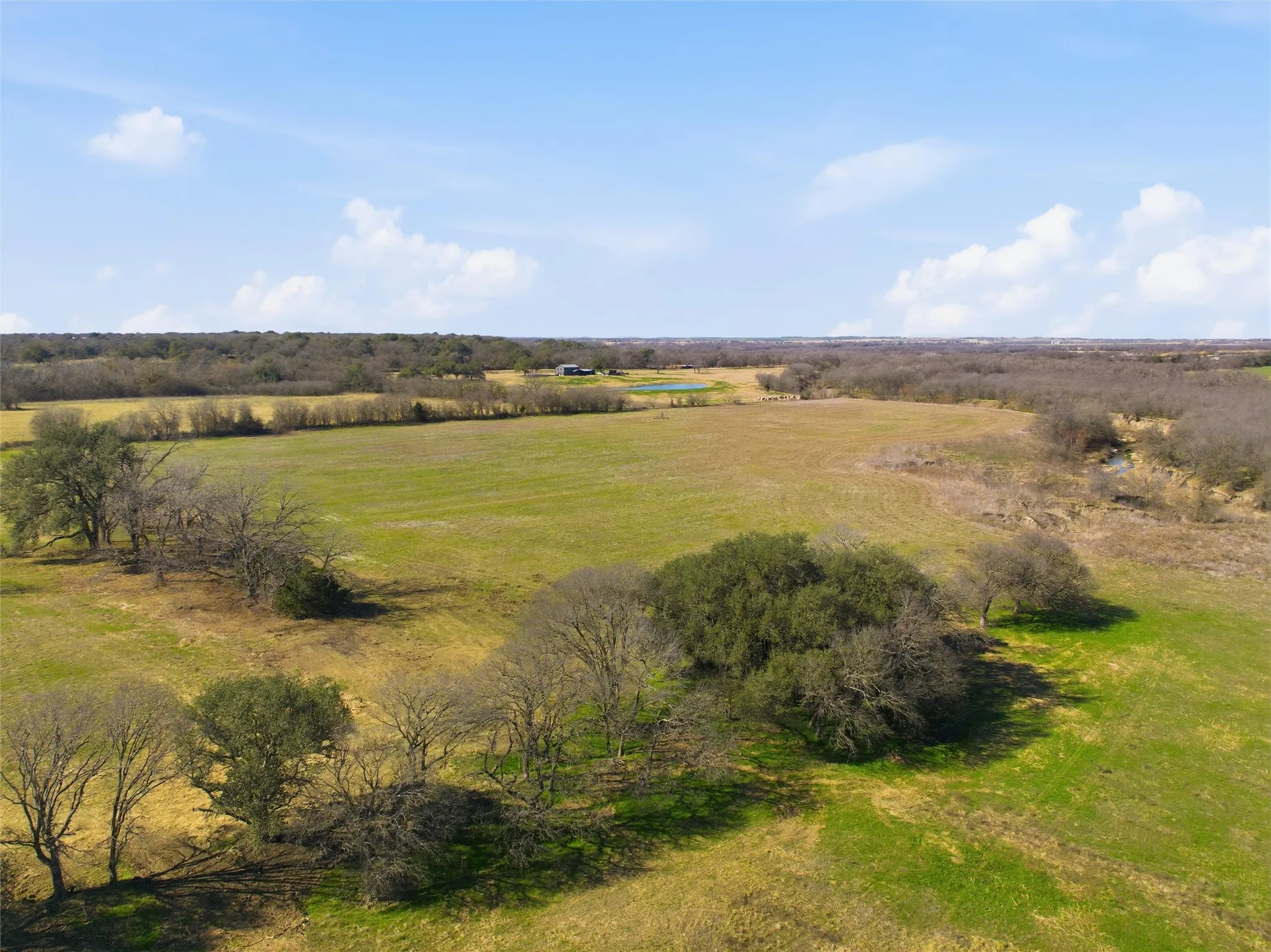 Improved Land For Sale in Falls County , 2375 FM 935, Chilton, Texas 76632, 0, 0, Garage spaces, 0 Sqft, built in 0, mls#21164803, Real Estate Agent in Chilton, Homes For Sale in Falls county, Homes For Sale in Chilton, Realtor in Chilton Texas, Real Estate Brokerage Independent Realty Texas, Luminita Cordes Realtor
