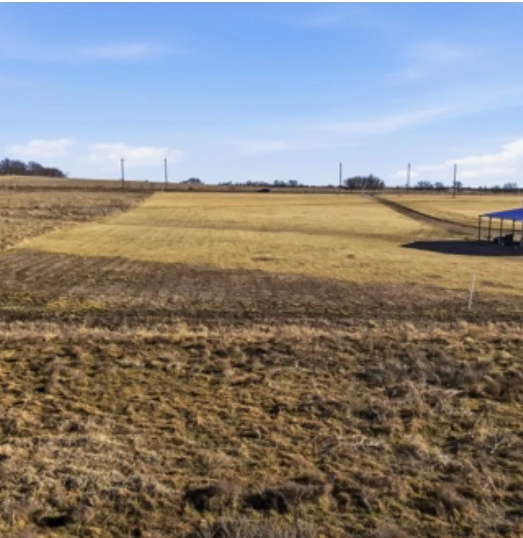 Unimproved Land For Sale in Wise County , 123 County Road 2610, Decatur, Texas 76234, 0, 0, Garage spaces, 0 Sqft, built in 0, mls#21170761, Real Estate Agent in Decatur, Homes For Sale in Wise county, Homes For Sale in Decatur, Realtor in Decatur Texas, Real Estate Brokerage Independent Realty Texas, Luminita Cordes Realtor