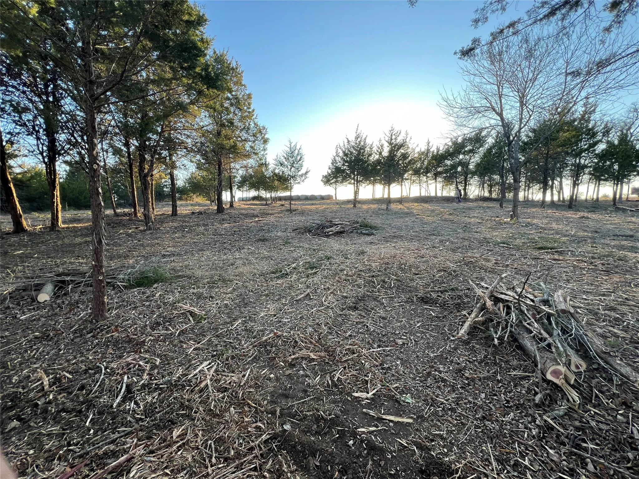 Unimproved Land For Sale in Ellis County , TBD Lot 29 Ridgecrest Drive, Waxahachie, Texas 75165, 0, 0, Garage spaces, 0 Sqft, built in 0, mls#21170831, Real Estate Agent in Waxahachie, Homes For Sale in Ellis county, Homes For Sale in Waxahachie, Realtor in Waxahachie Texas, Real Estate Brokerage Independent Realty Texas, Luminita Cordes Realtor