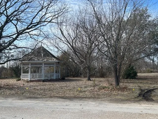 Unimproved Land For Sale in Grayson County , TBD .81 AC Wallace Street, Whitewright, Texas 75491, 0, 0, Garage spaces, 0 Sqft, built in 0, Price $125,000, mls#21170900, Real Estate Agent in Whitewright, Homes For Sale in Grayson county, Homes For Sale in Whitewright, Realtor in Whitewright Texas, Real Estate Brokerage Independent Realty Texas, Luminita Cordes Realtor