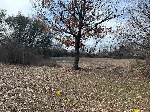 Unimproved Land For Sale in Grayson County , TBD .81 AC Wallace Street, Whitewright, Texas 75491, 0, 0, Garage spaces, 0 Sqft, built in 0, Price $125,000, mls#21170900, Real Estate Agent in Whitewright, Homes For Sale in Grayson county, Homes For Sale in Whitewright, Realtor in Whitewright Texas, Real Estate Brokerage Independent Realty Texas, Luminita Cordes Realtor