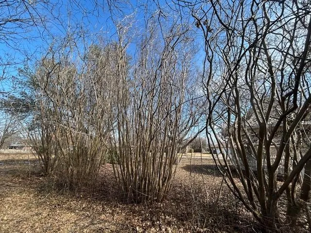 Unimproved Land For Sale in Grayson County , TBD .81 AC Wallace Street, Whitewright, Texas 75491, 0, 0, Garage spaces, 0 Sqft, built in 0, Price $125,000, mls#21170900, Real Estate Agent in Whitewright, Homes For Sale in Grayson county, Homes For Sale in Whitewright, Realtor in Whitewright Texas, Real Estate Brokerage Independent Realty Texas, Luminita Cordes Realtor