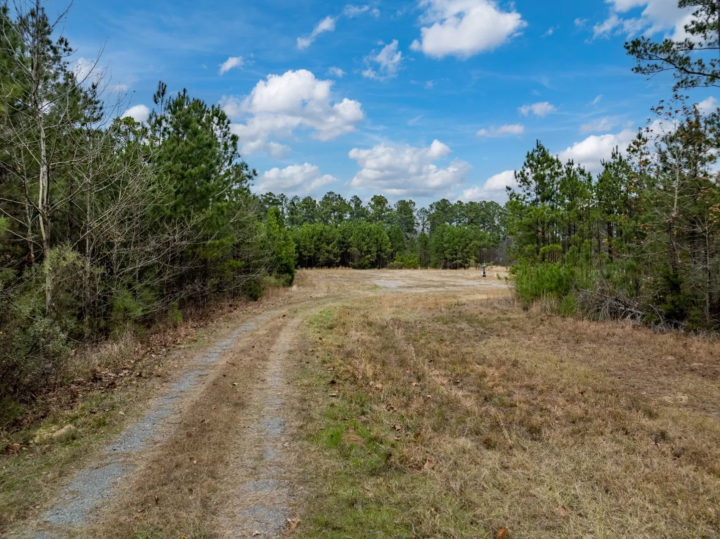 Unimproved Land For Sale in Harrison County , TBD Leisure Lane, Waskom, Texas 75692, 0, 0, Garage spaces, 0 Sqft, built in 0, Price $712,500, mls#21171583, Real Estate Agent in Waskom, Homes For Sale in Harrison county, Homes For Sale in Waskom, Realtor in Waskom Texas, Real Estate Brokerage Independent Realty Texas, Luminita Cordes Realtor
