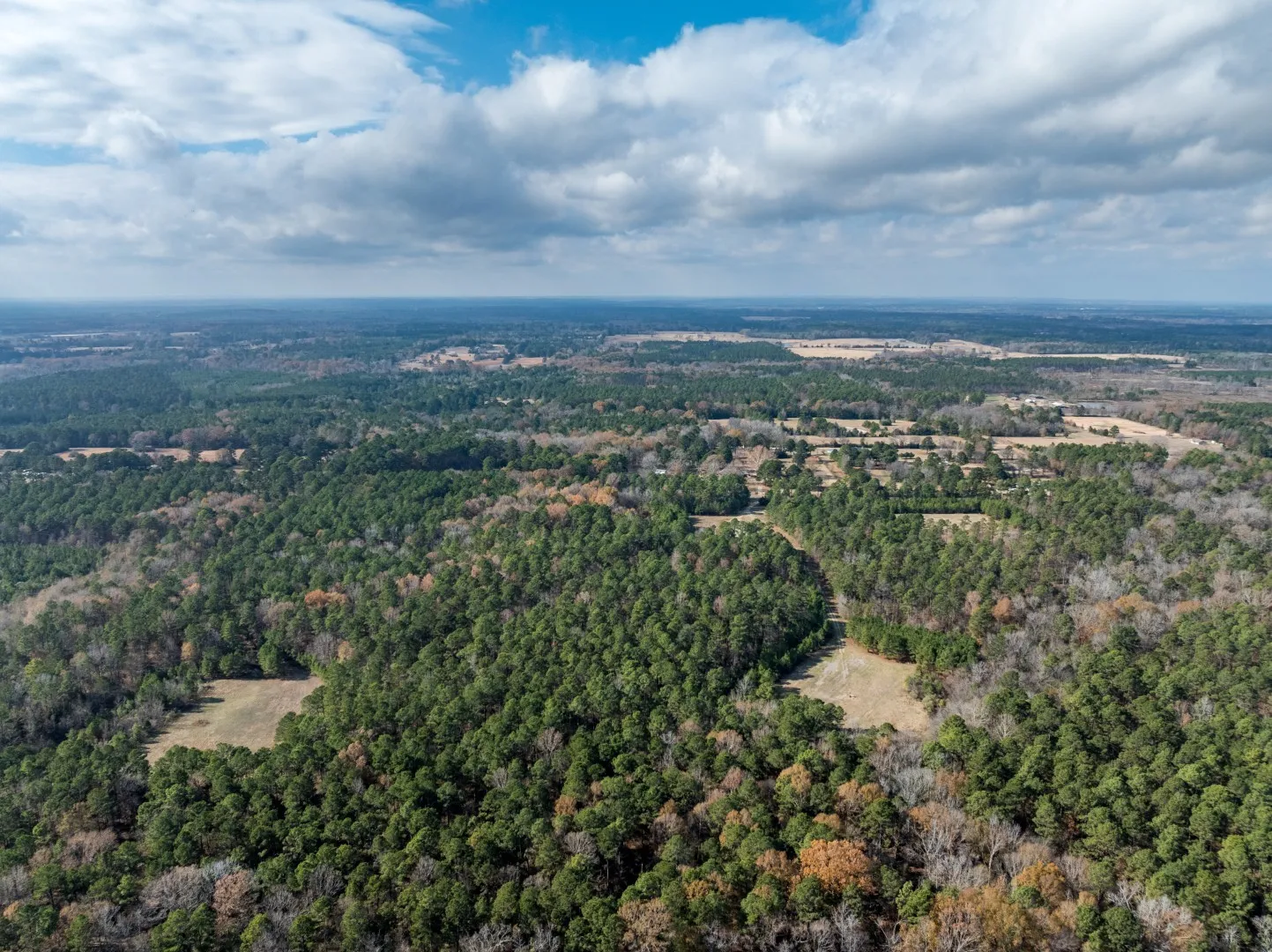 Unimproved Land For Sale in Harrison County , TBD Leisure Lane, Waskom, Texas 75692, 0, 0, Garage spaces, 0 Sqft, built in 0, Price $712,500, mls#21171583, Real Estate Agent in Waskom, Homes For Sale in Harrison county, Homes For Sale in Waskom, Realtor in Waskom Texas, Real Estate Brokerage Independent Realty Texas, Luminita Cordes Realtor