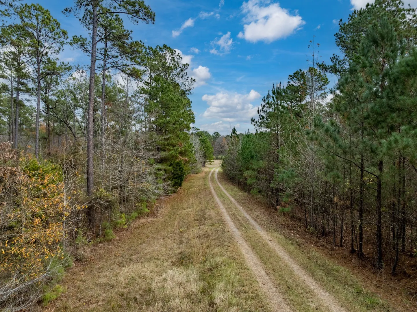 Unimproved Land For Sale in Harrison County , TBD Leisure Lane, Waskom, Texas 75692, 0, 0, Garage spaces, 0 Sqft, built in 0, Price $712,500, mls#21171583, Real Estate Agent in Waskom, Homes For Sale in Harrison county, Homes For Sale in Waskom, Realtor in Waskom Texas, Real Estate Brokerage Independent Realty Texas, Luminita Cordes Realtor