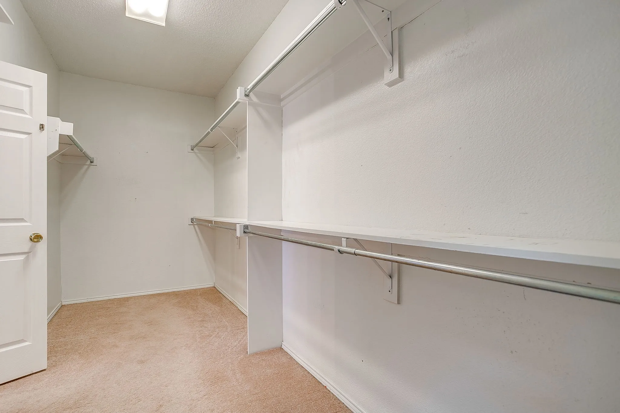 Walk in closet featuring light carpet