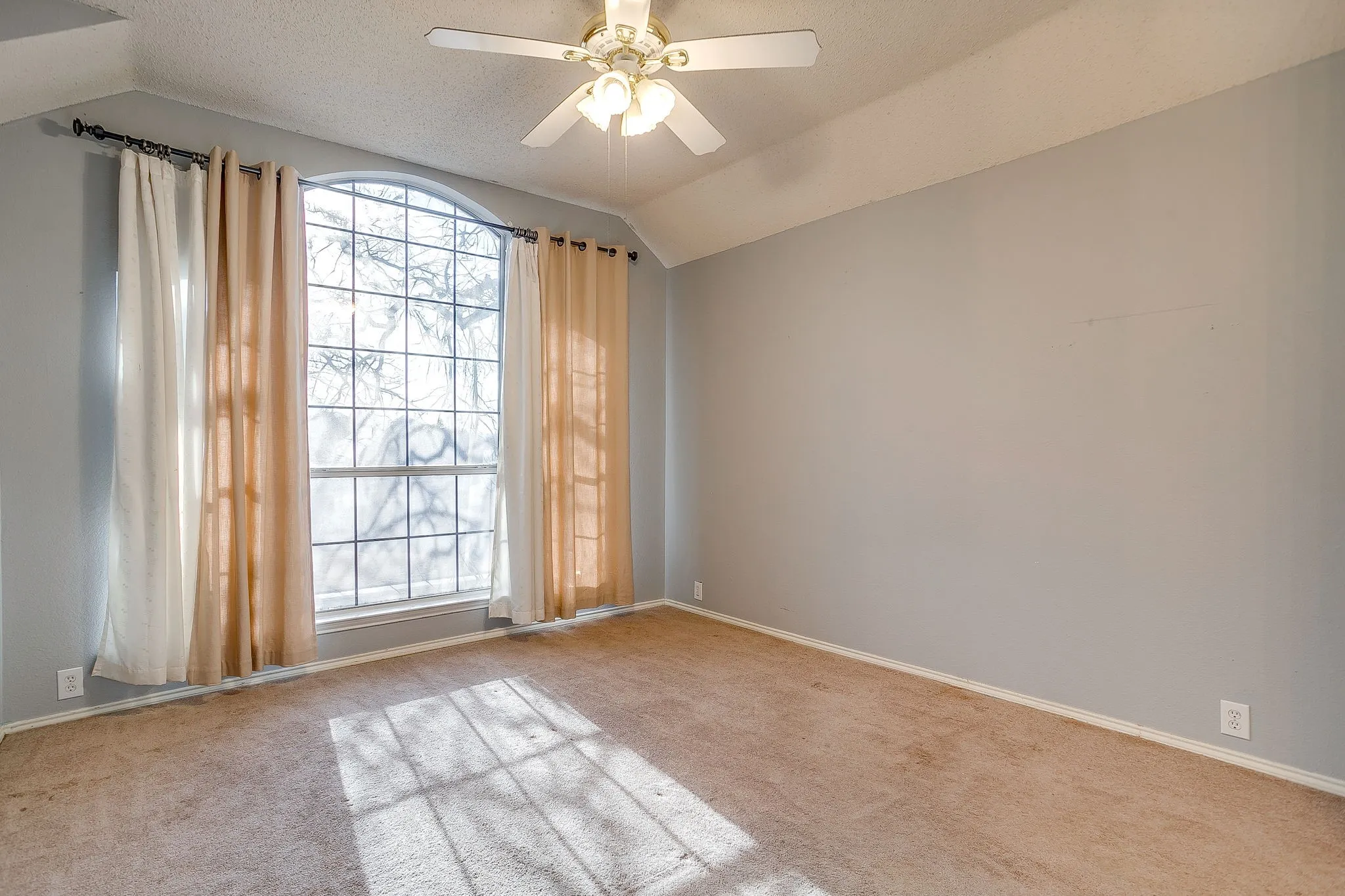 Unfurnished room featuring a ceiling fan and carpet