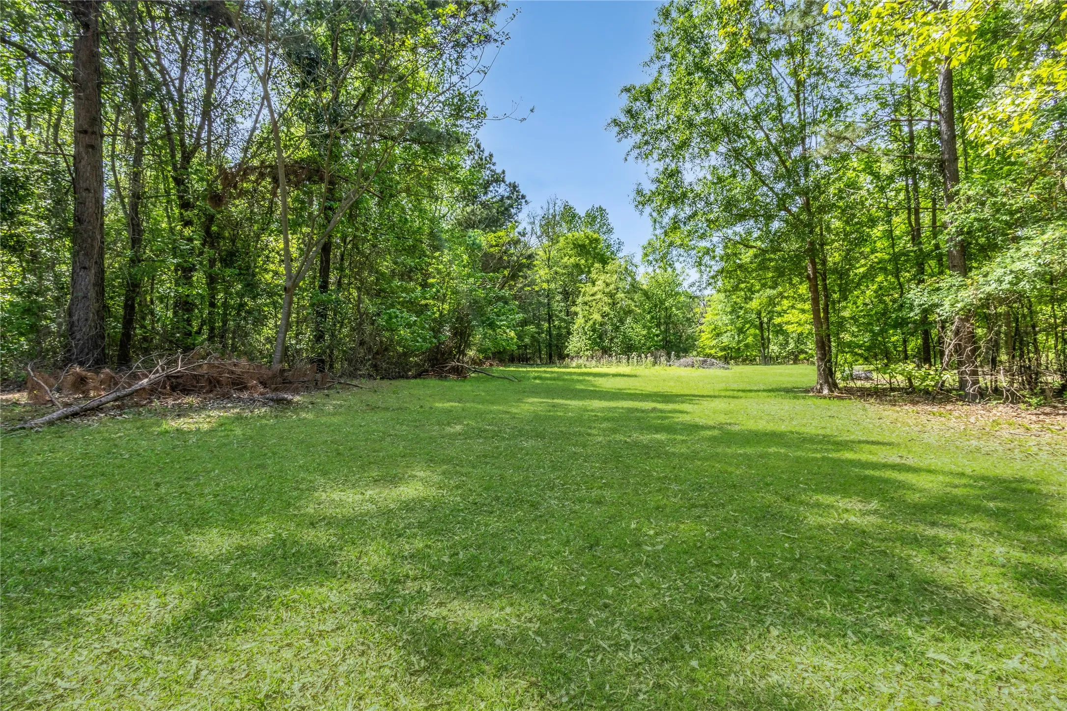 View of grassy yard