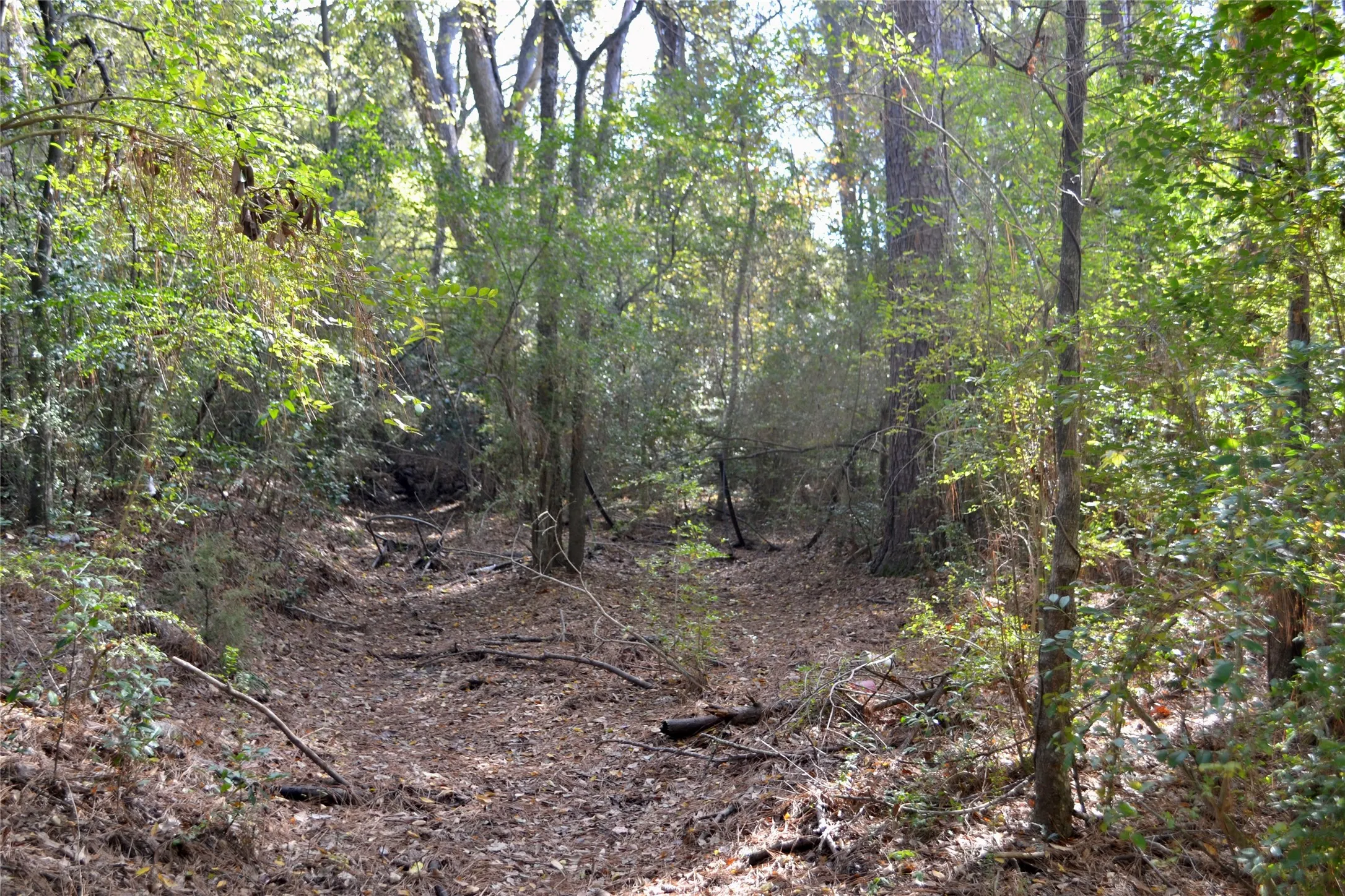 Unimproved Land For Sale in Harrison County , Tract #2 Long Street, Waskom, Texas 75692, 0, 0, Garage spaces, 0 Sqft, built in 0, Price $35,600, mls#21171903, Real Estate Agent in Waskom, Homes For Sale in Harrison county, Homes For Sale in Waskom, Realtor in Waskom Texas, Real Estate Brokerage Independent Realty Texas, Luminita Cordes Realtor