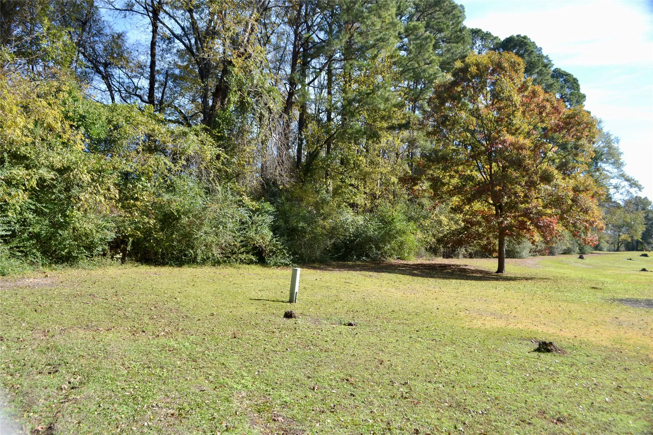 Unimproved Land For Sale in Harrison County , Tract #2 Long Street, Waskom, Texas 75692, 0, 0, Garage spaces, 0 Sqft, built in 0, Price $35,600, mls#21171903, Real Estate Agent in Waskom, Homes For Sale in Harrison county, Homes For Sale in Waskom, Realtor in Waskom Texas, Real Estate Brokerage Independent Realty Texas, Luminita Cordes Realtor