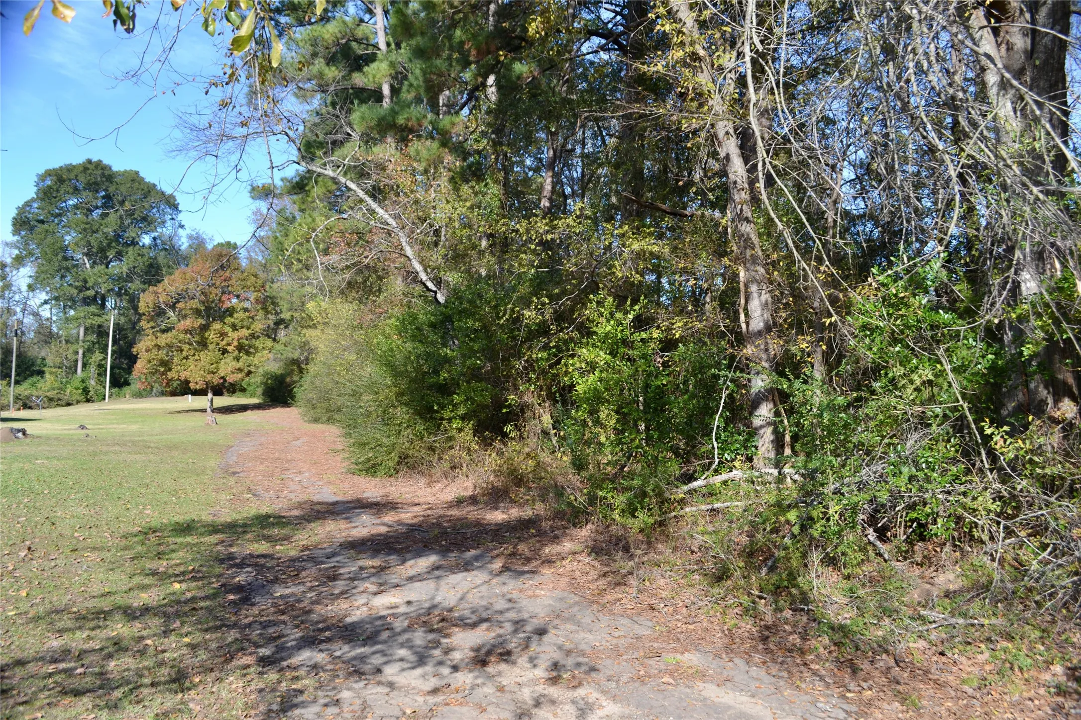 Unimproved Land For Sale in Harrison County , Tract #2 Long Street, Waskom, Texas 75692, 0, 0, Garage spaces, 0 Sqft, built in 0, Price $35,600, mls#21171903, Real Estate Agent in Waskom, Homes For Sale in Harrison county, Homes For Sale in Waskom, Realtor in Waskom Texas, Real Estate Brokerage Independent Realty Texas, Luminita Cordes Realtor