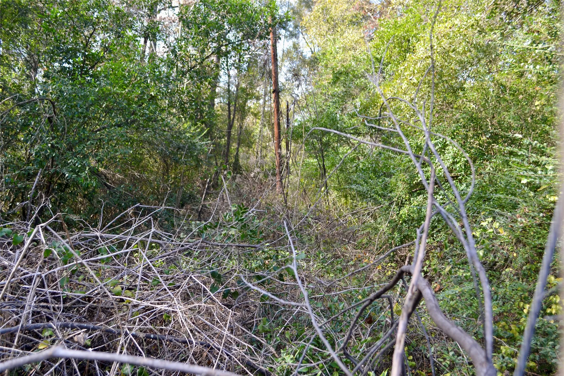 Unimproved Land For Sale in Harrison County , Tract #2 Long Street, Waskom, Texas 75692, 0, 0, Garage spaces, 0 Sqft, built in 0, Price $35,600, mls#21171903, Real Estate Agent in Waskom, Homes For Sale in Harrison county, Homes For Sale in Waskom, Realtor in Waskom Texas, Real Estate Brokerage Independent Realty Texas, Luminita Cordes Realtor