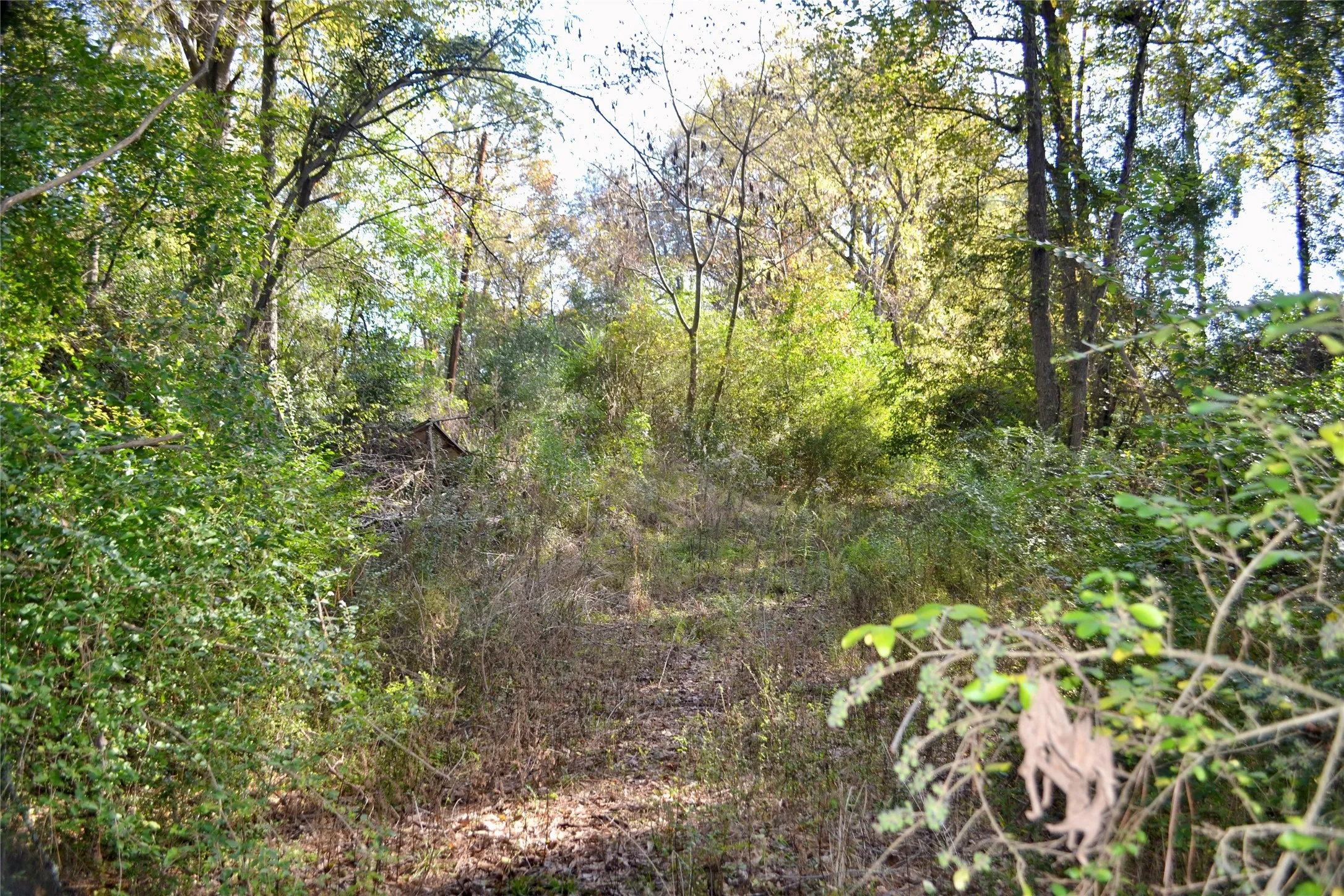 Unimproved Land For Sale in Harrison County , Tract #2 Long Street, Waskom, Texas 75692, 0, 0, Garage spaces, 0 Sqft, built in 0, Price $35,600, mls#21171903, Real Estate Agent in Waskom, Homes For Sale in Harrison county, Homes For Sale in Waskom, Realtor in Waskom Texas, Real Estate Brokerage Independent Realty Texas, Luminita Cordes Realtor