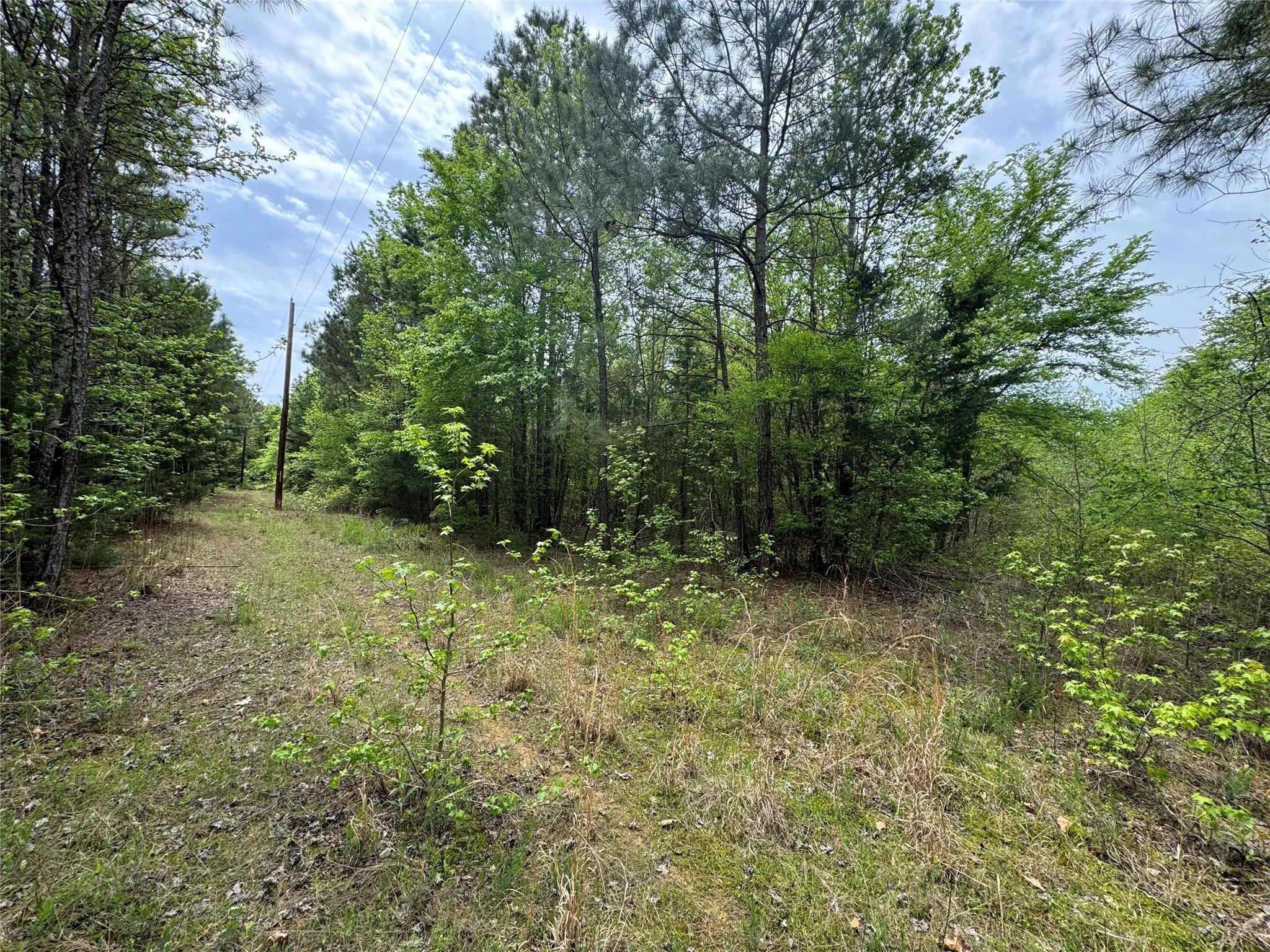 Unimproved Land For Sale in Cass County , TBD County Road 2742, Naples, Texas 75568, 0, 0, Garage spaces, 0 Sqft, built in 0, Price $499,000, mls#21171956, Real Estate Agent in Naples, Homes For Sale in Cass county, Homes For Sale in Naples, Realtor in Naples Texas, Real Estate Brokerage Independent Realty Texas, Luminita Cordes Realtor