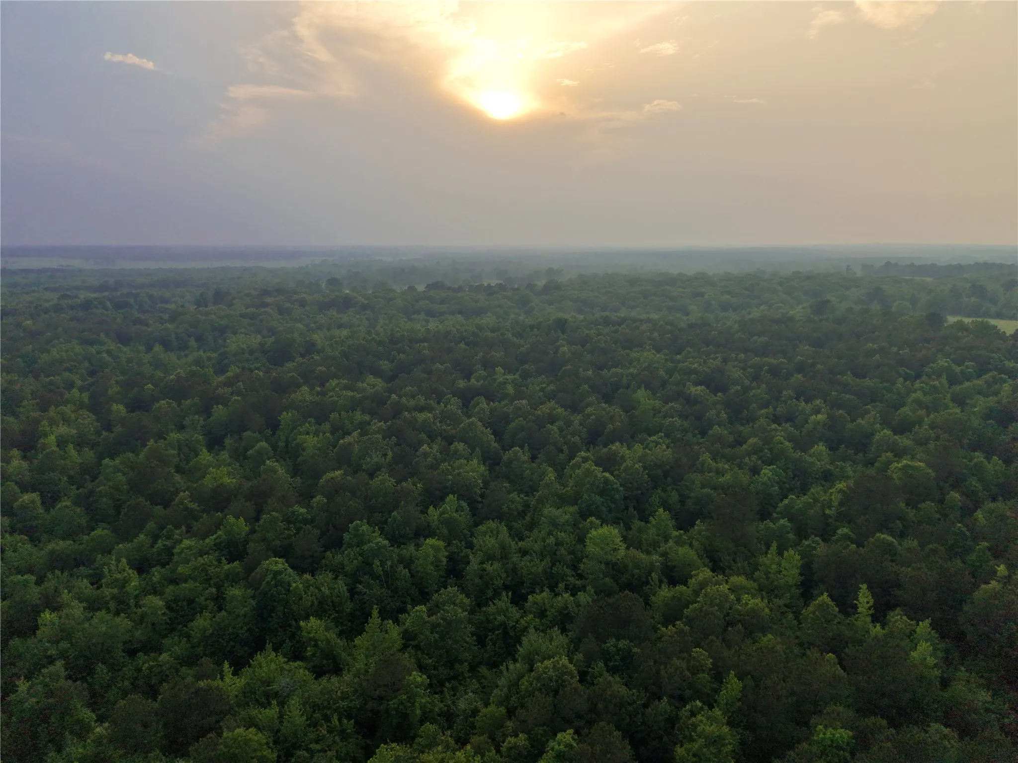 Unimproved Land For Sale in Cass County , TBD County Road 2742, Naples, Texas 75568, 0, 0, Garage spaces, 0 Sqft, built in 0, Price $499,000, mls#21171956, Real Estate Agent in Naples, Homes For Sale in Cass county, Homes For Sale in Naples, Realtor in Naples Texas, Real Estate Brokerage Independent Realty Texas, Luminita Cordes Realtor