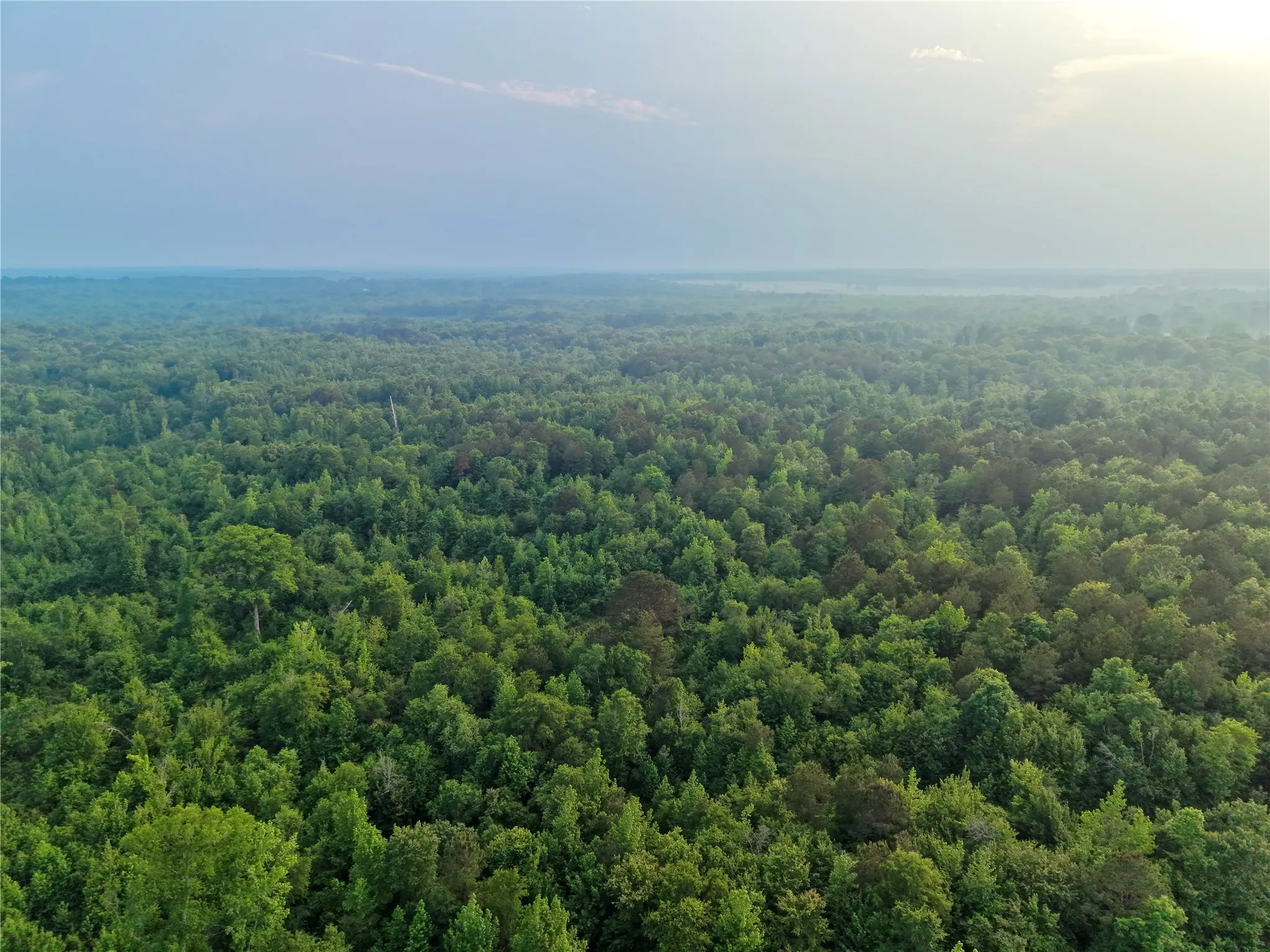 Unimproved Land For Sale in Cass County , TBD County Road 2742, Naples, Texas 75568, 0, 0, Garage spaces, 0 Sqft, built in 0, Price $499,000, mls#21171956, Real Estate Agent in Naples, Homes For Sale in Cass county, Homes For Sale in Naples, Realtor in Naples Texas, Real Estate Brokerage Independent Realty Texas, Luminita Cordes Realtor