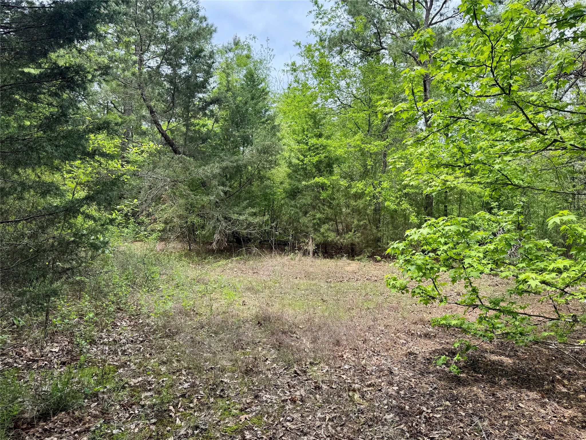 Unimproved Land For Sale in Cass County , TBD County Road 2742, Naples, Texas 75568, 0, 0, Garage spaces, 0 Sqft, built in 0, Price $499,000, mls#21171956, Real Estate Agent in Naples, Homes For Sale in Cass county, Homes For Sale in Naples, Realtor in Naples Texas, Real Estate Brokerage Independent Realty Texas, Luminita Cordes Realtor