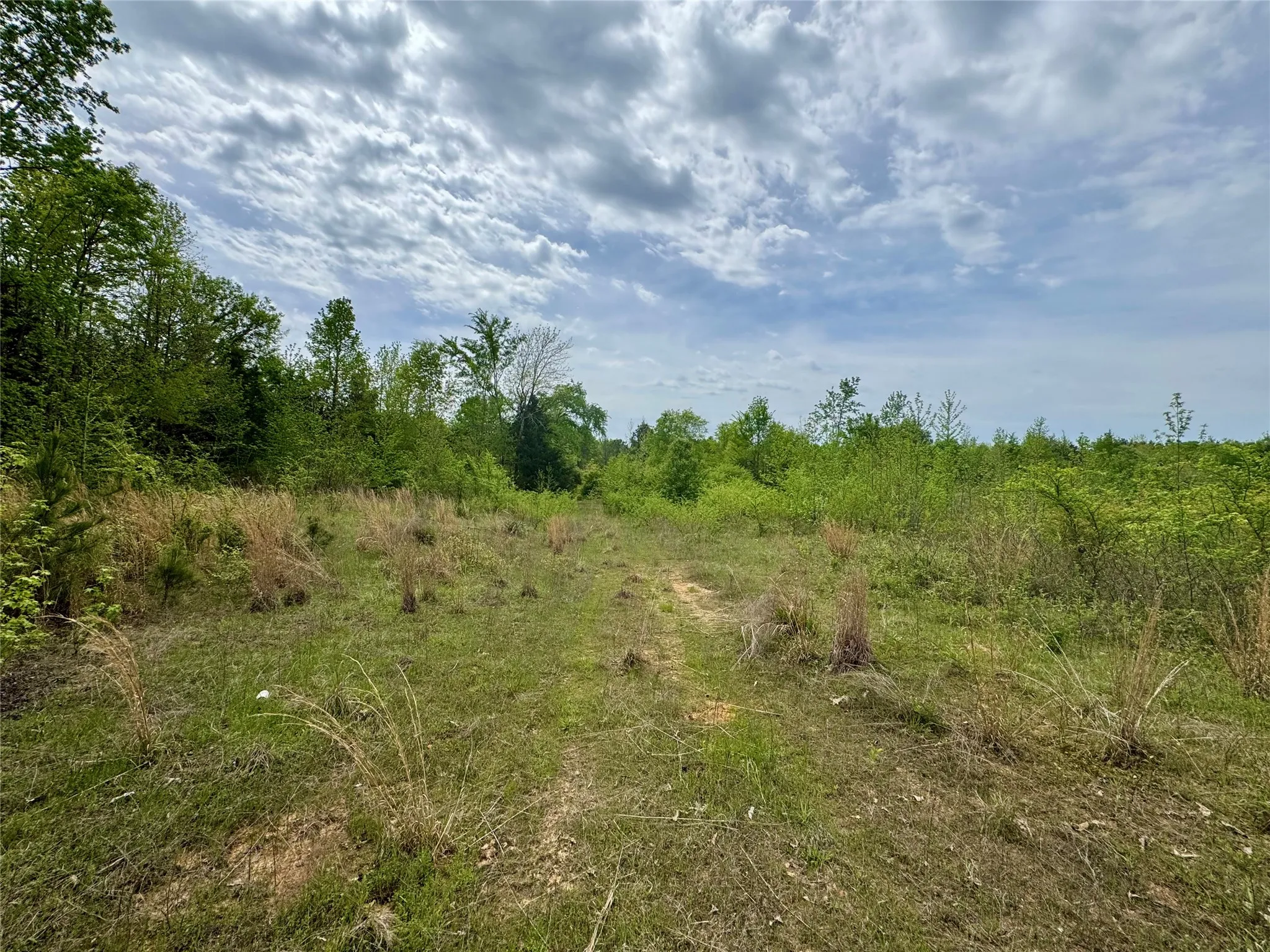 Unimproved Land For Sale in Cass County , TBD County Road 2742, Naples, Texas 75568, 0, 0, Garage spaces, 0 Sqft, built in 0, Price $499,000, mls#21171956, Real Estate Agent in Naples, Homes For Sale in Cass county, Homes For Sale in Naples, Realtor in Naples Texas, Real Estate Brokerage Independent Realty Texas, Luminita Cordes Realtor